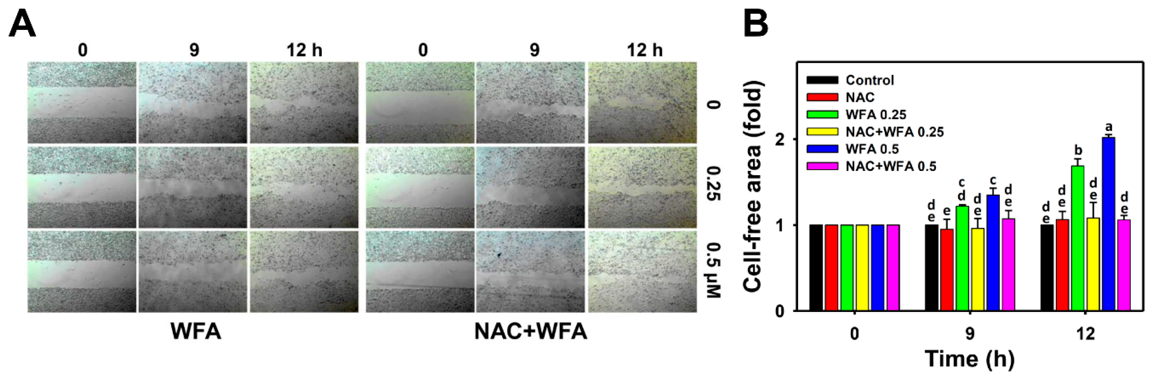 Biomolecules 10 00777 g003 Biomolecules 10 00777 g003