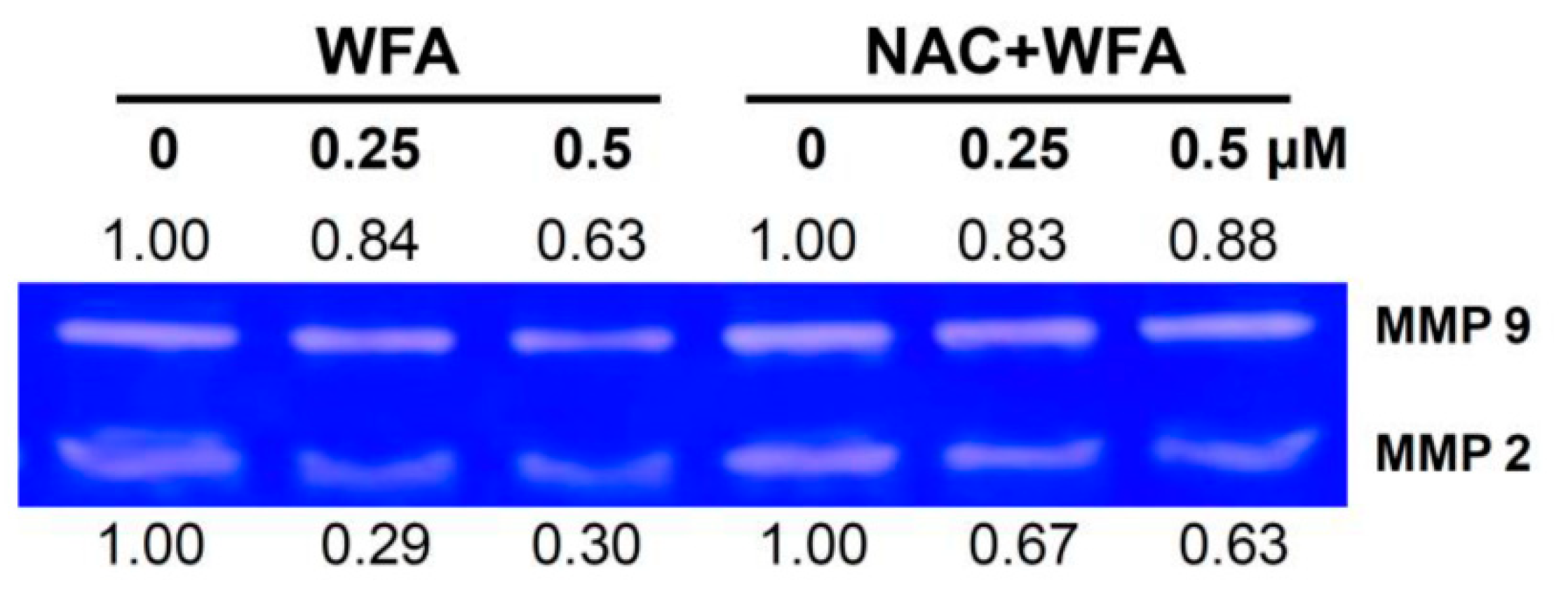 Biomolecules 10 00777 g005 Biomolecules 10 00777 g005