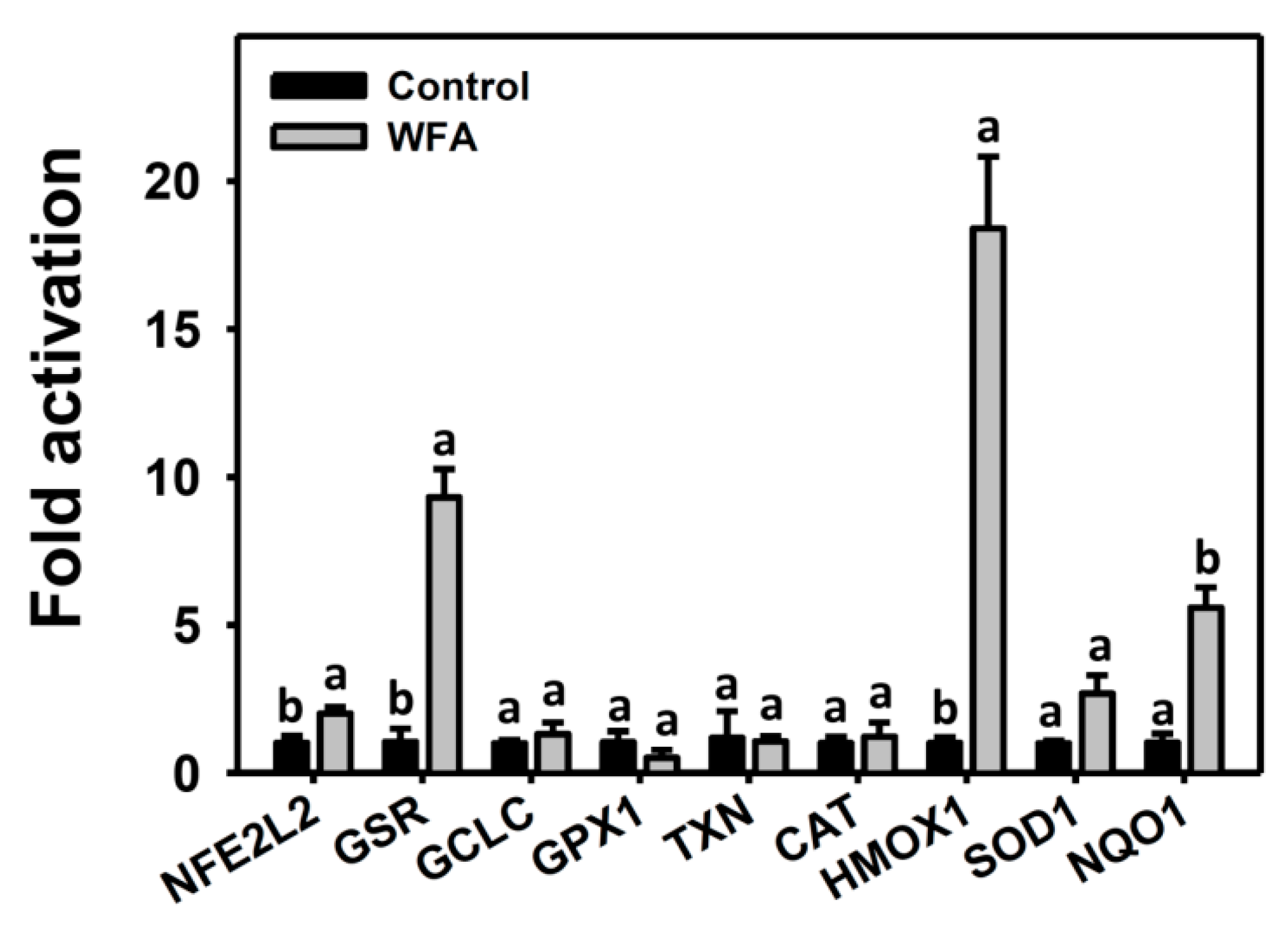 Biomolecules 10 00777 g006 Biomolecules 10 00777 g006
