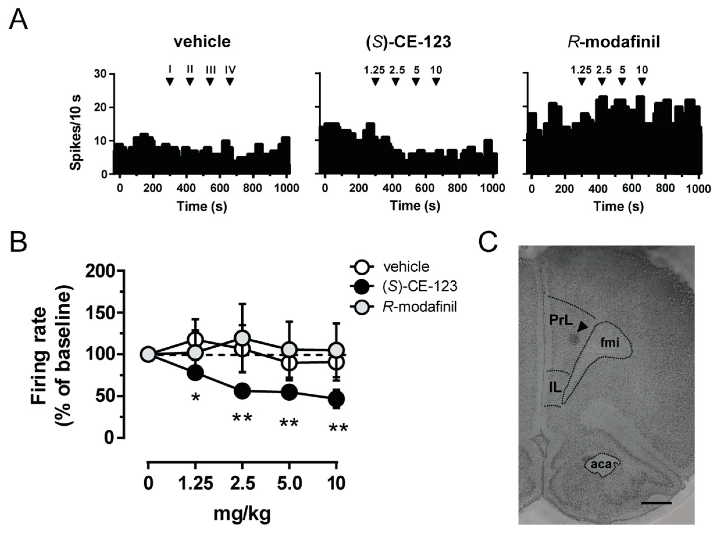 Biomolecules 10 00779 g001 Biomolecules 10 00779 g001