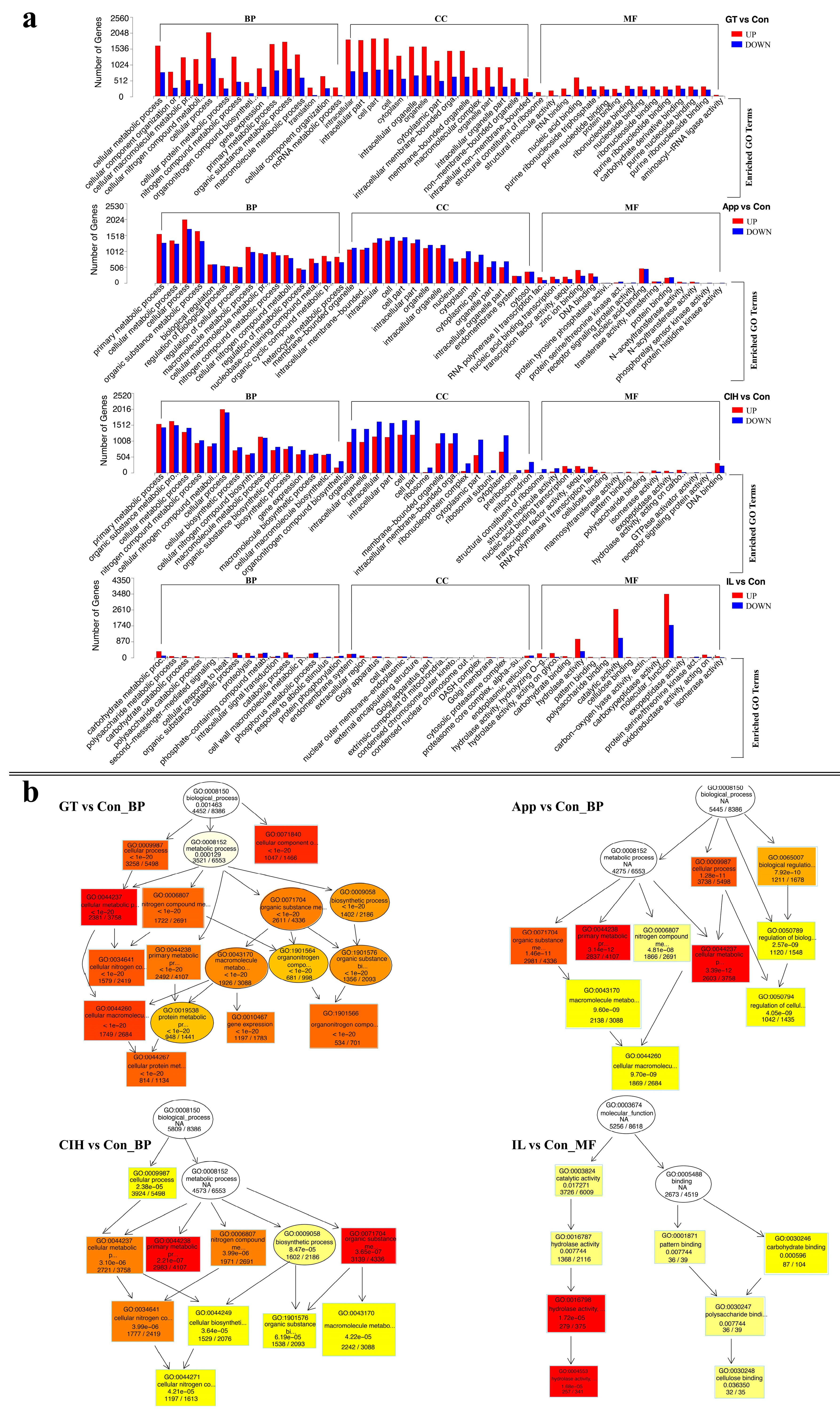 Biomolecules 10 00782 g003