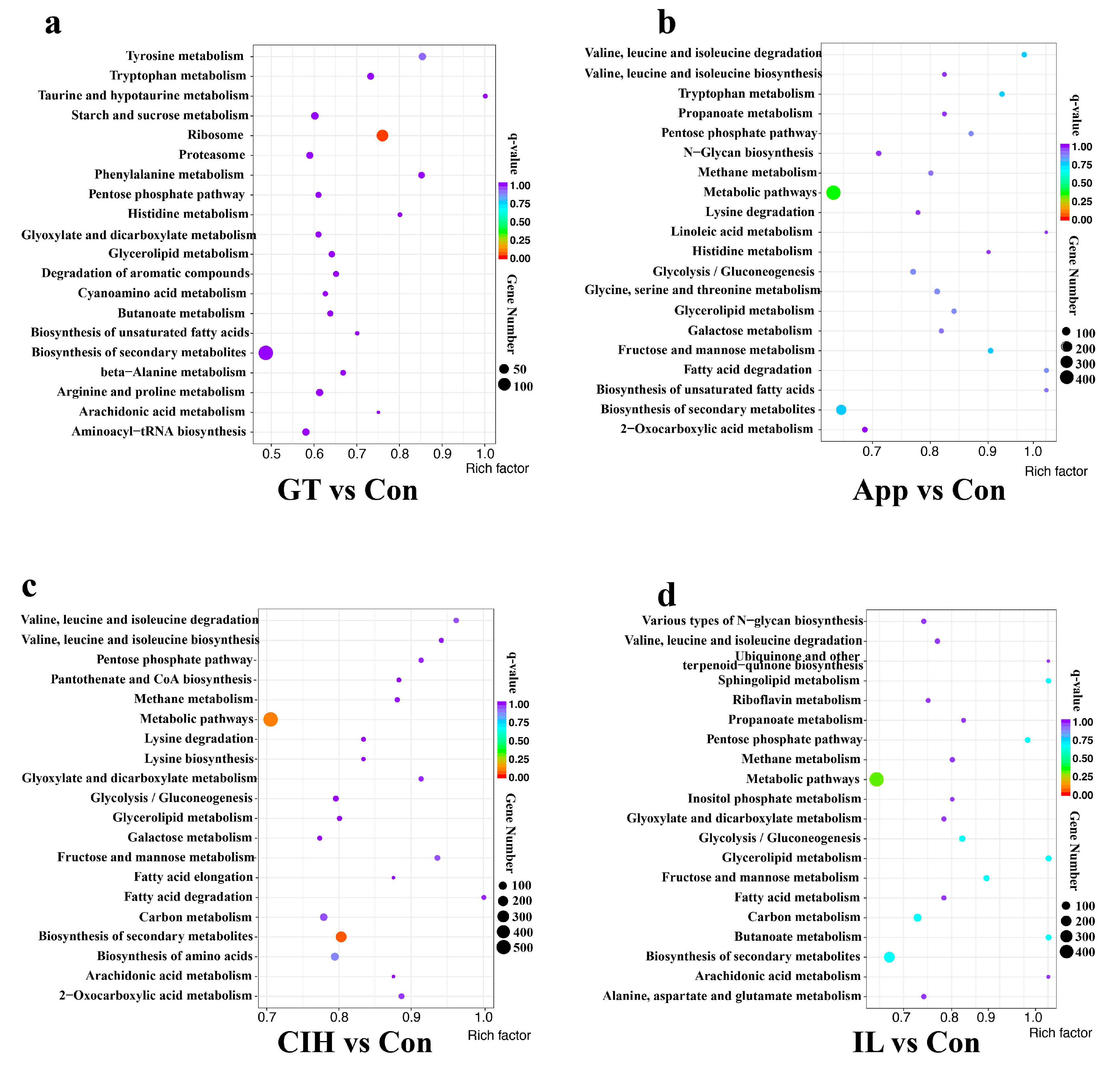 Biomolecules 10 00782 g004