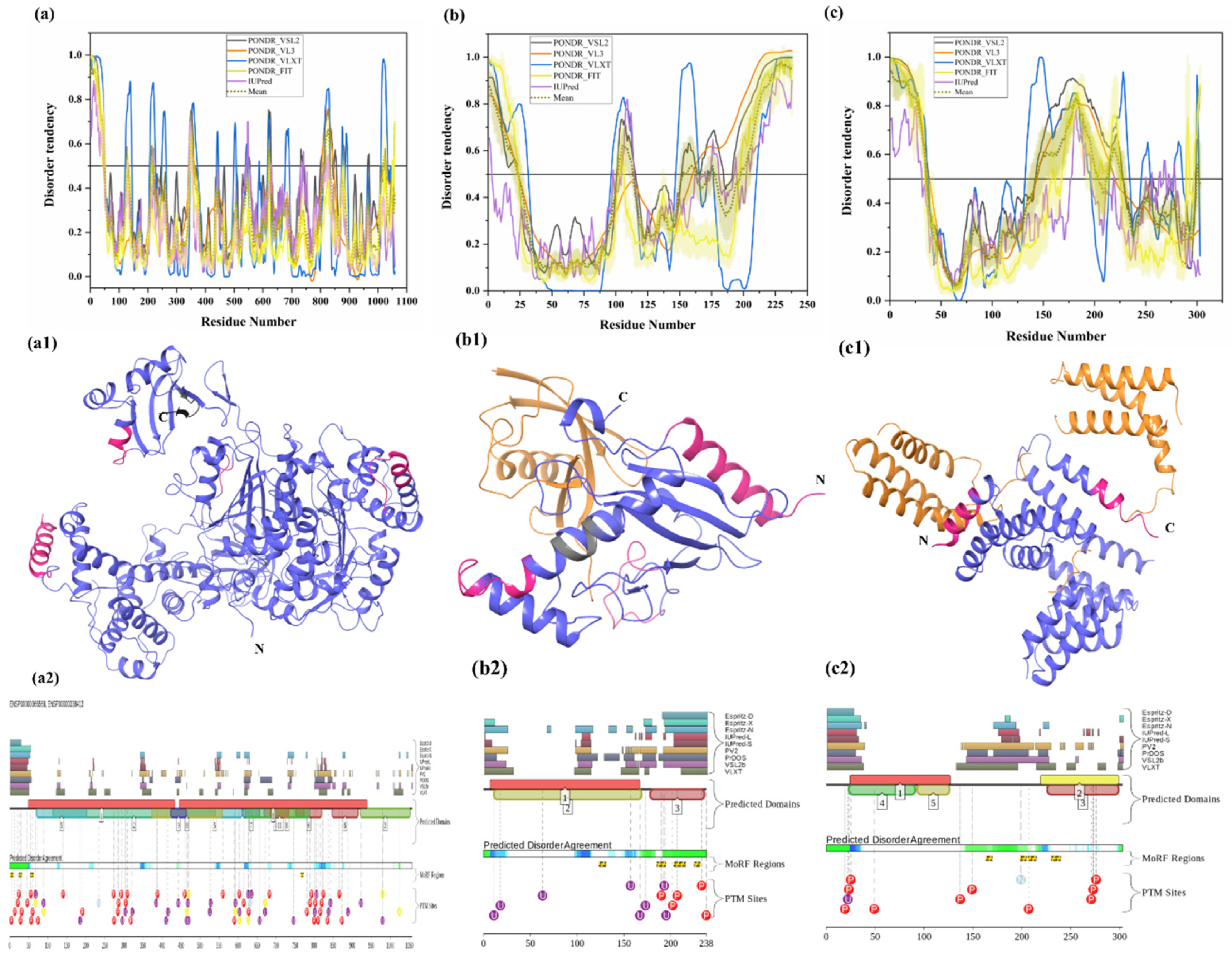 Biomolecules 10 00796 g004