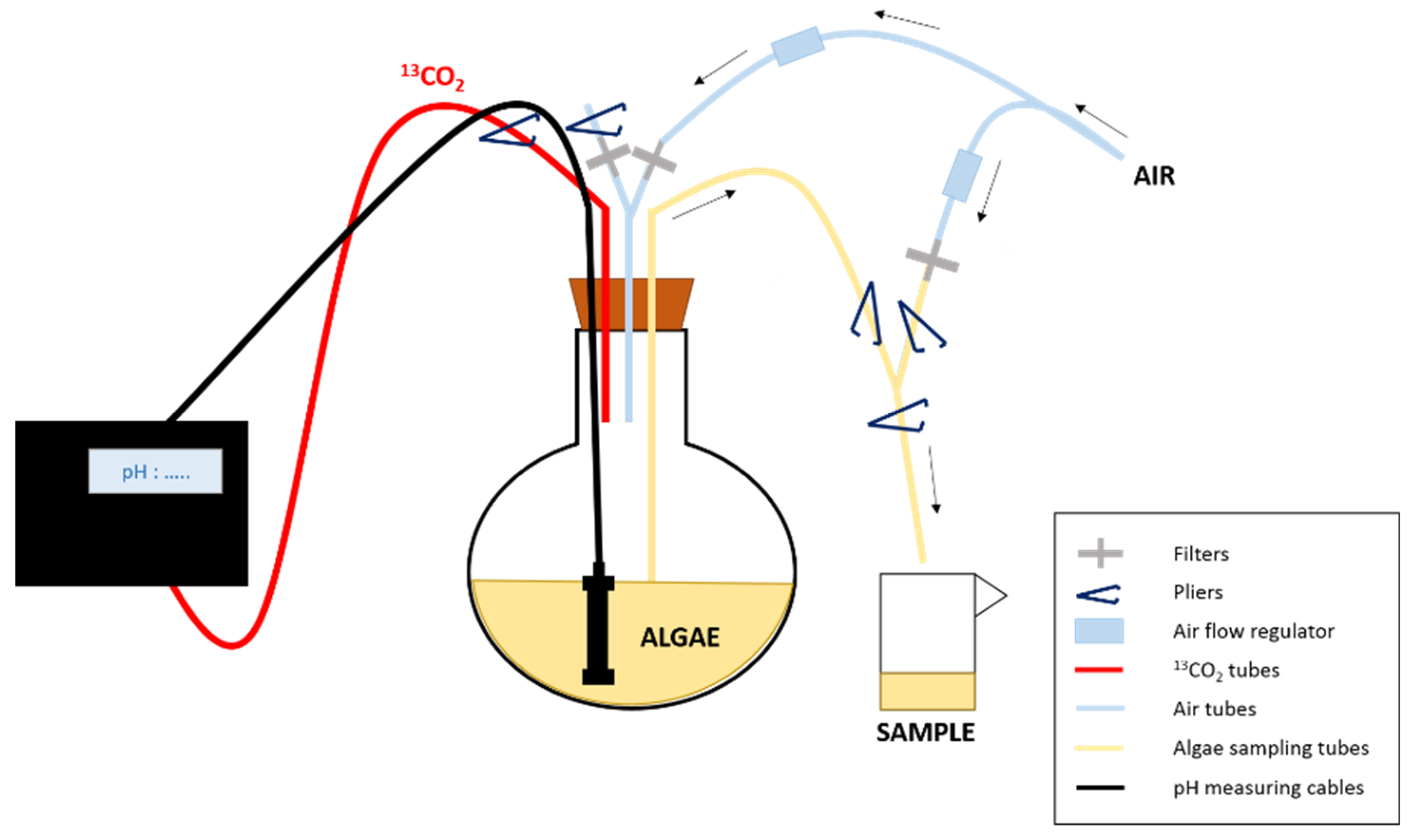 Biomolecules 10 00797 g002