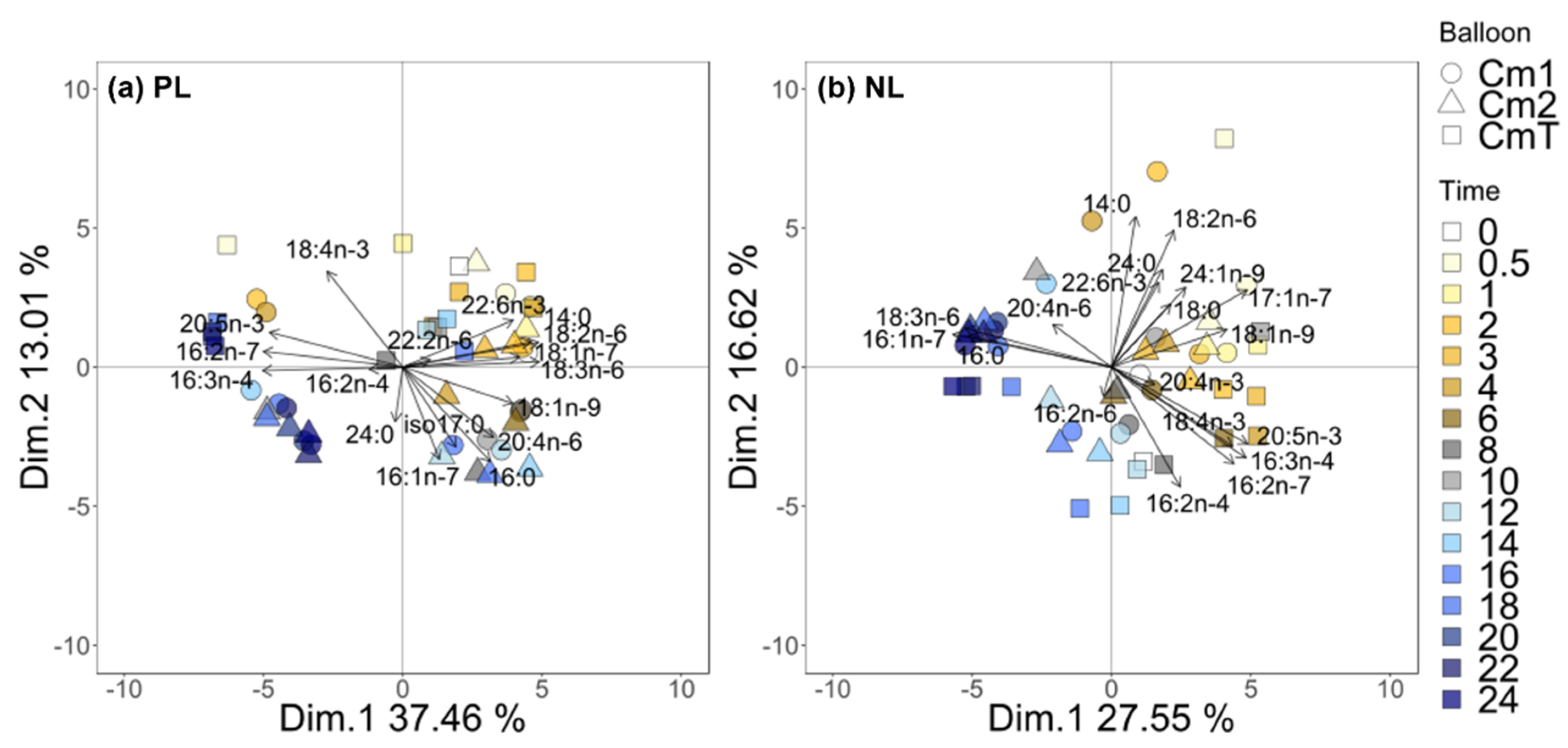 Biomolecules 10 00797 g007