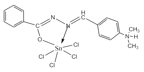Biomolecules 10 00804 i001 Biomolecules 10 00804 i001