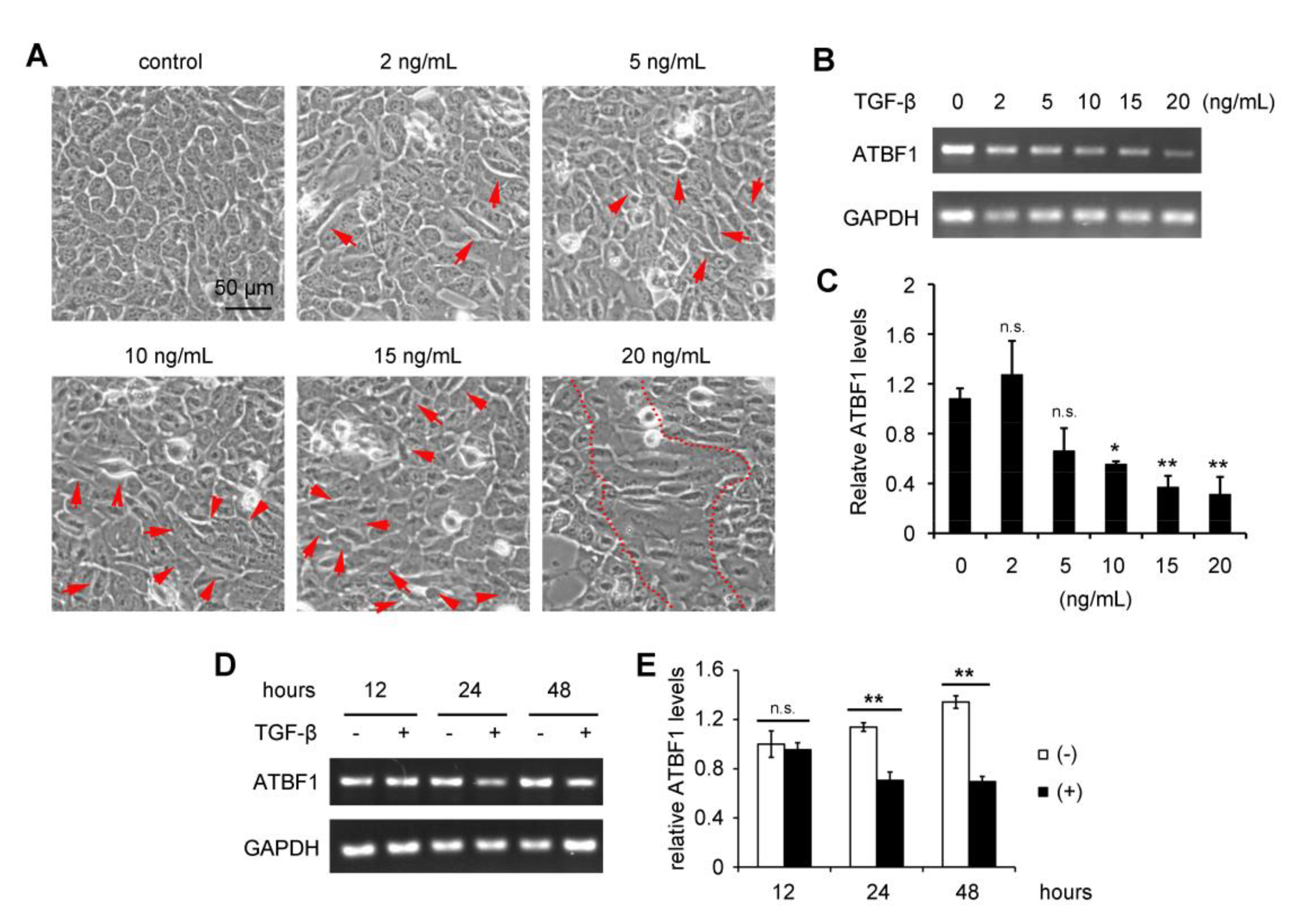 Biomolecules 10 00807 g001 Biomolecules 10 00807 g001
