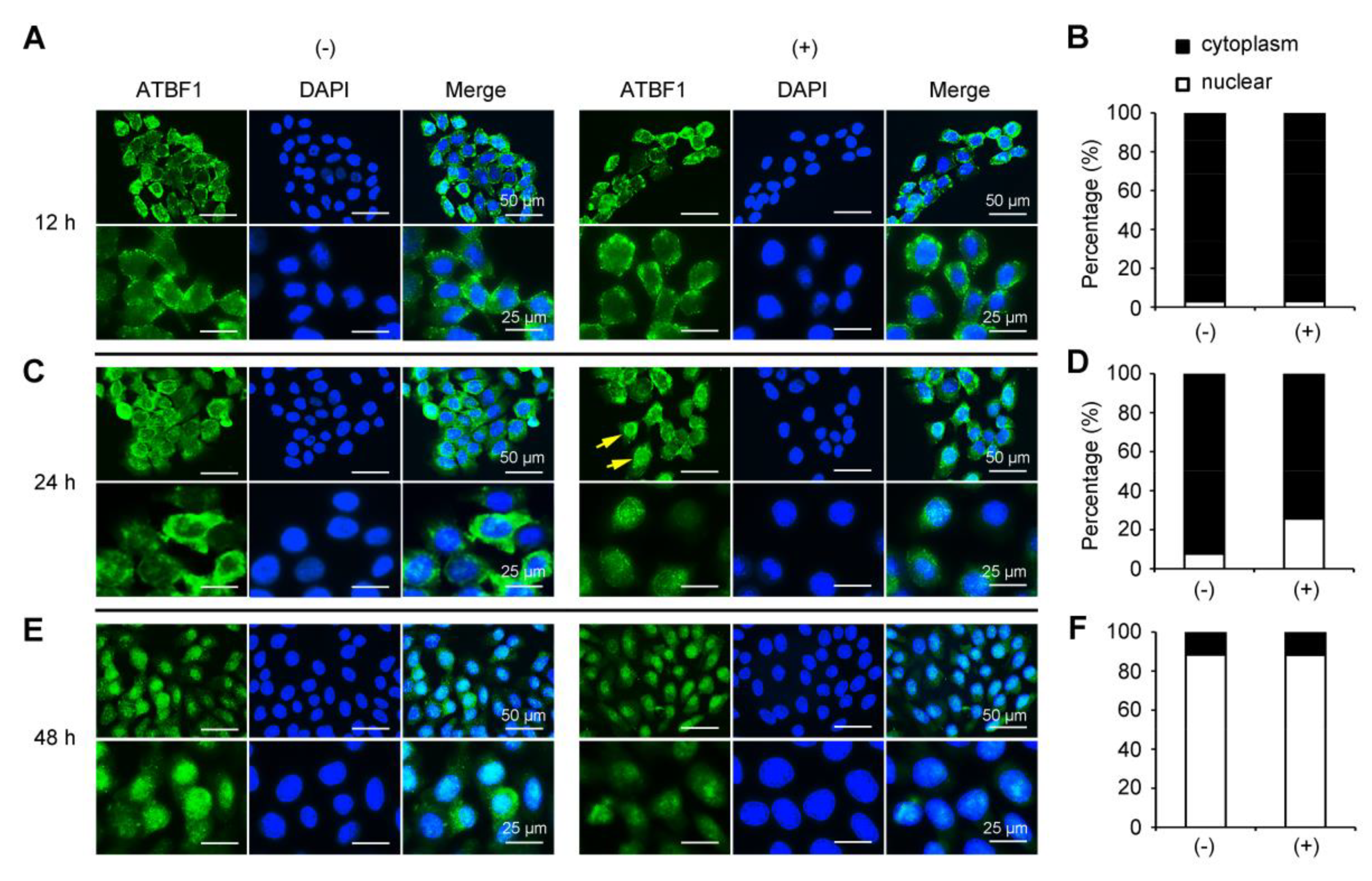 Biomolecules 10 00807 g004 Biomolecules 10 00807 g004