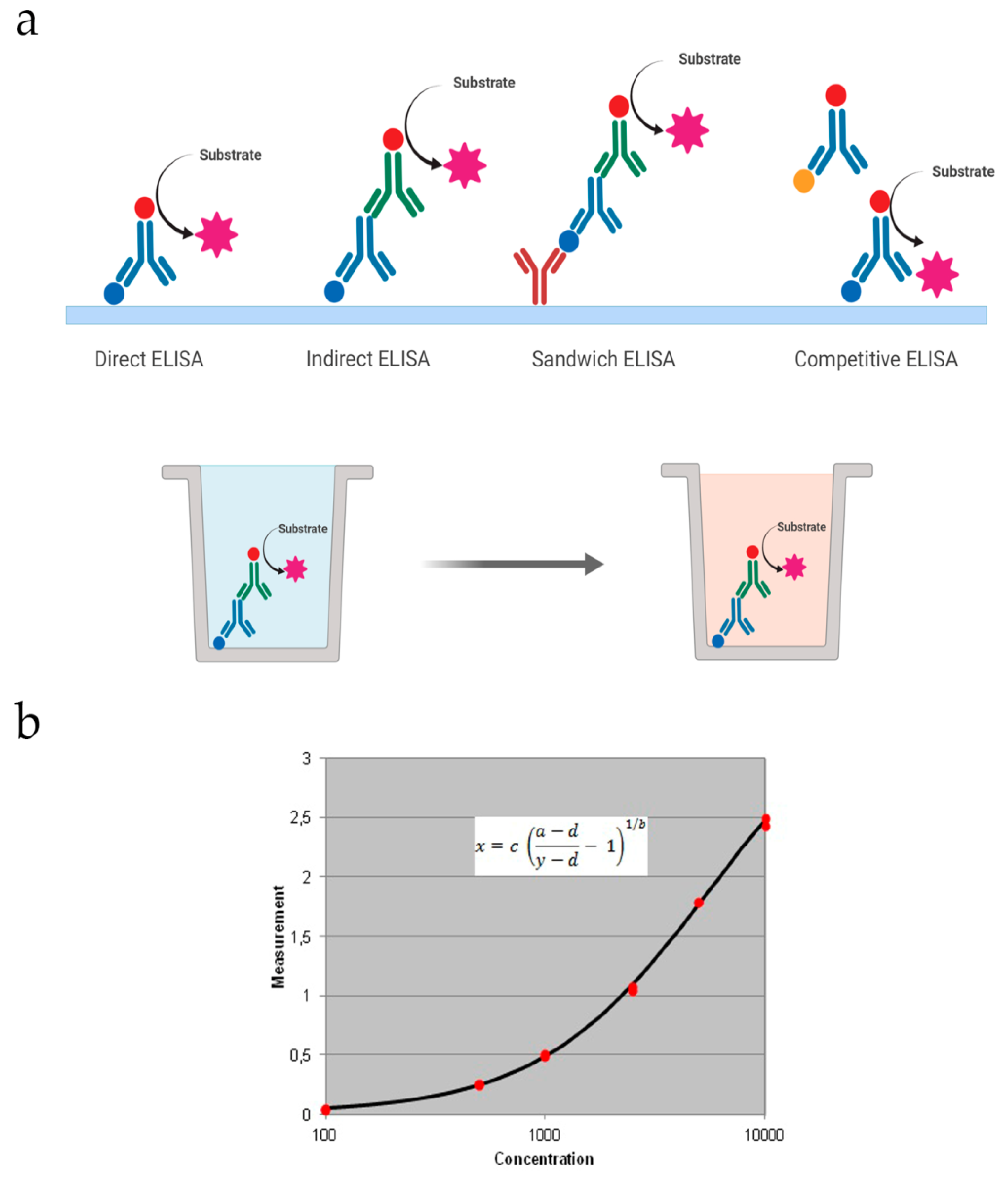 Biomolecules 10 00824 g001