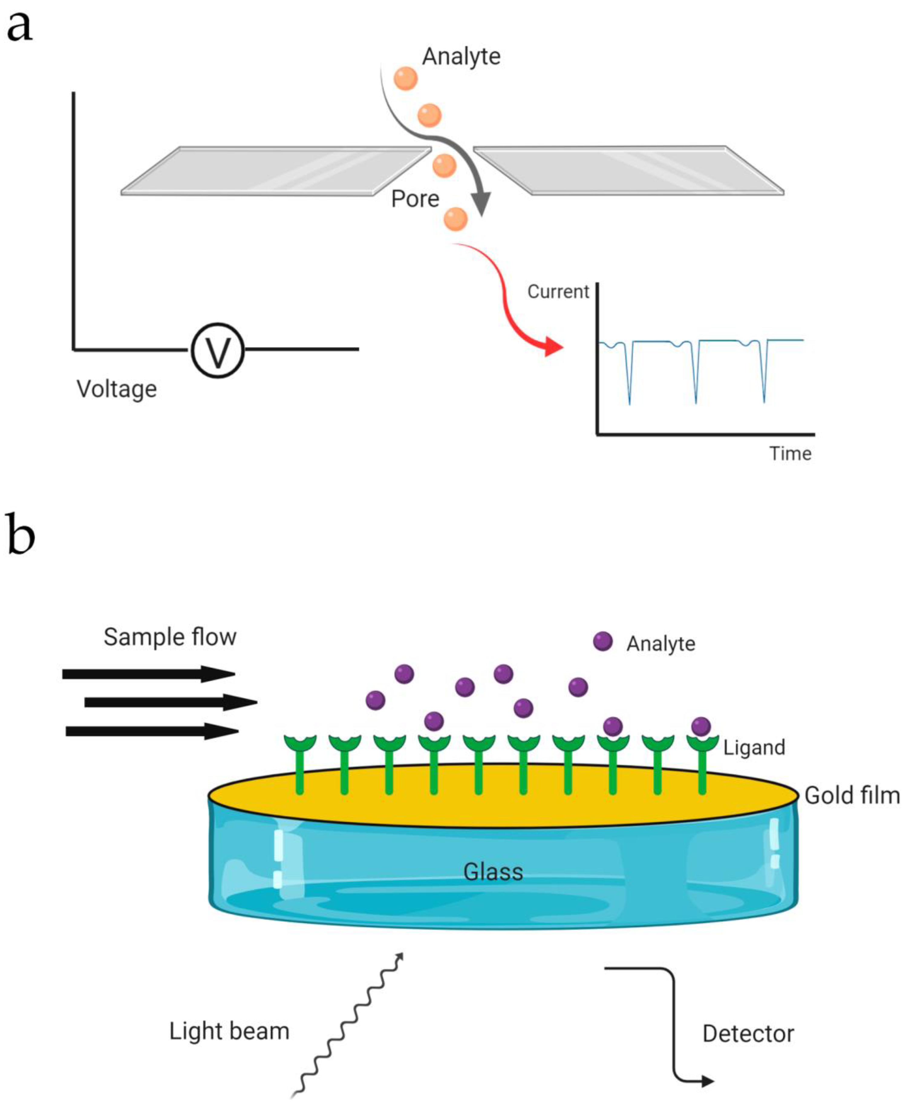 Biomolecules 10 00824 g007