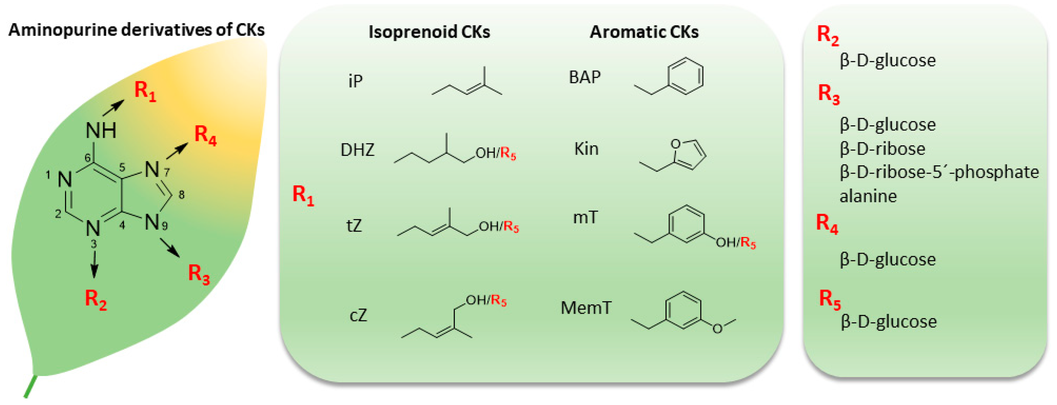 Biomolecules 10 00832 g001