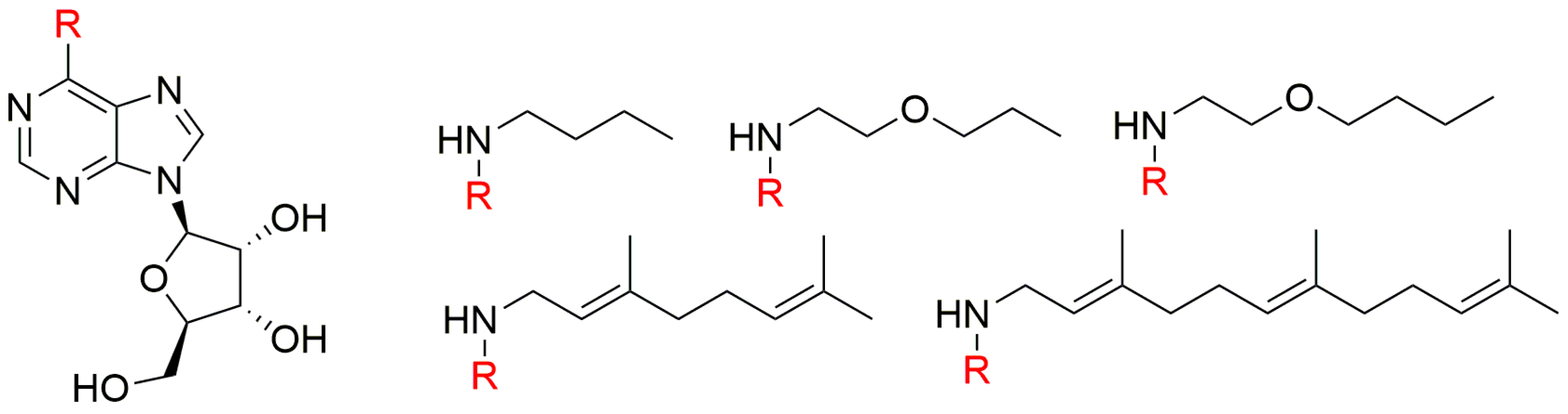 Biomolecules 10 00832 g002