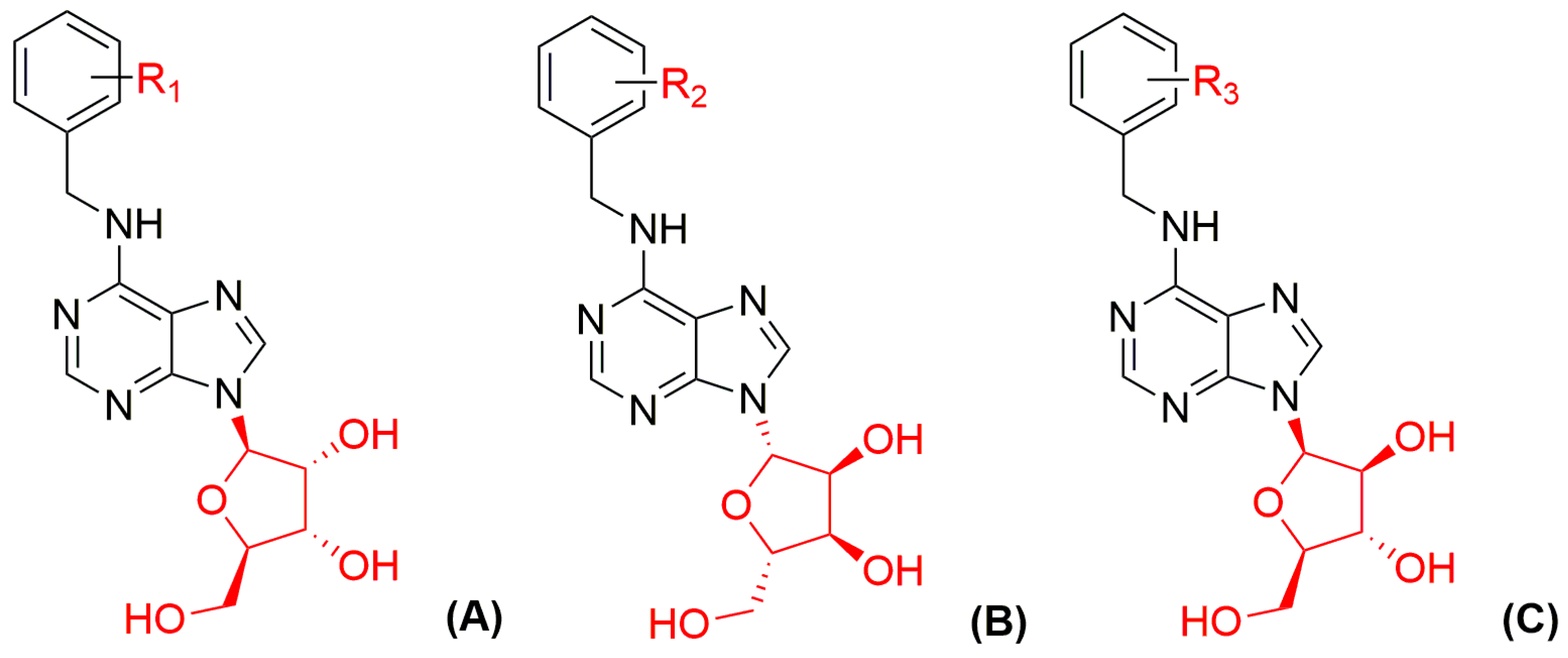 Biomolecules 10 00832 g004