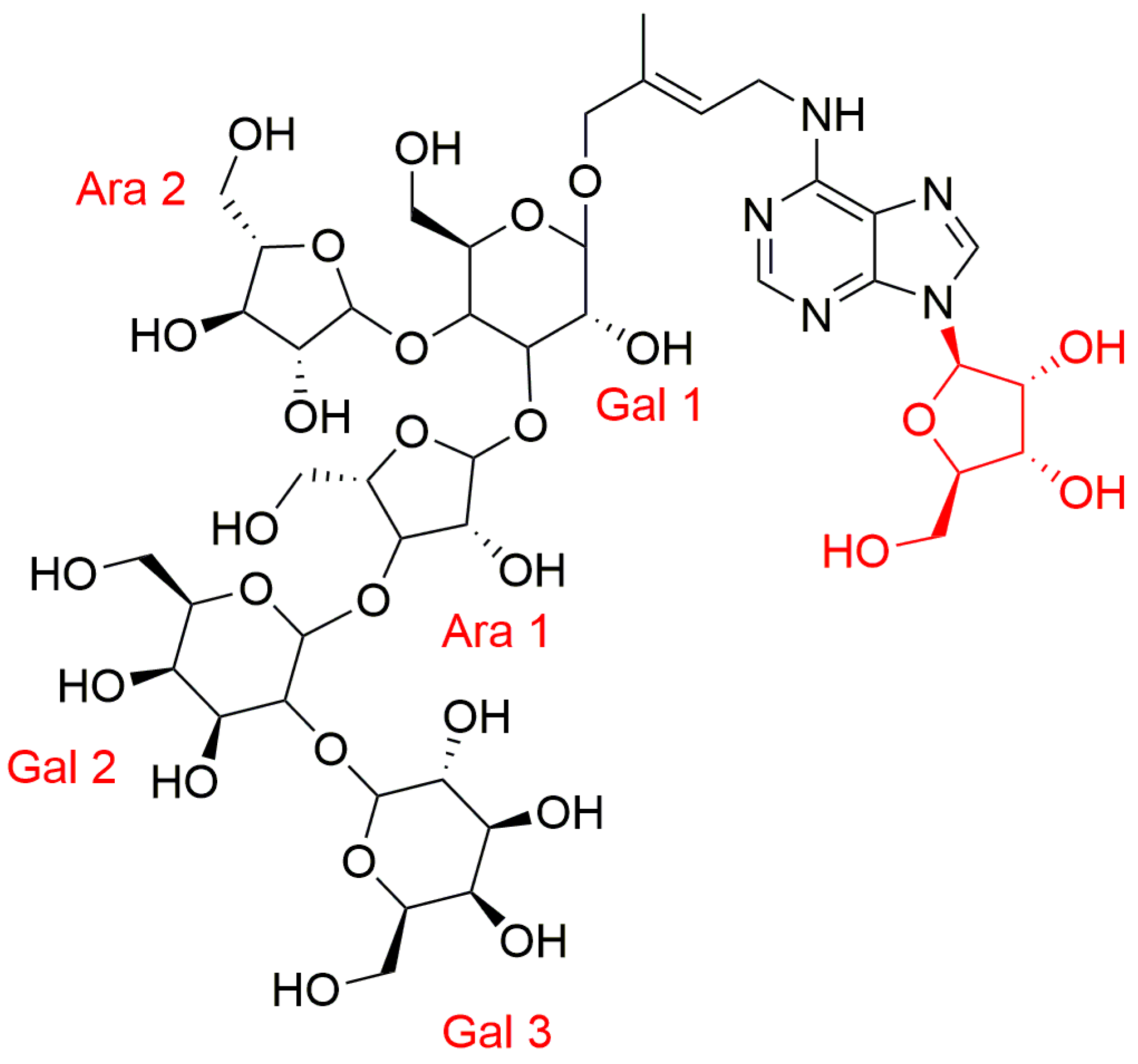 Biomolecules 10 00832 g006