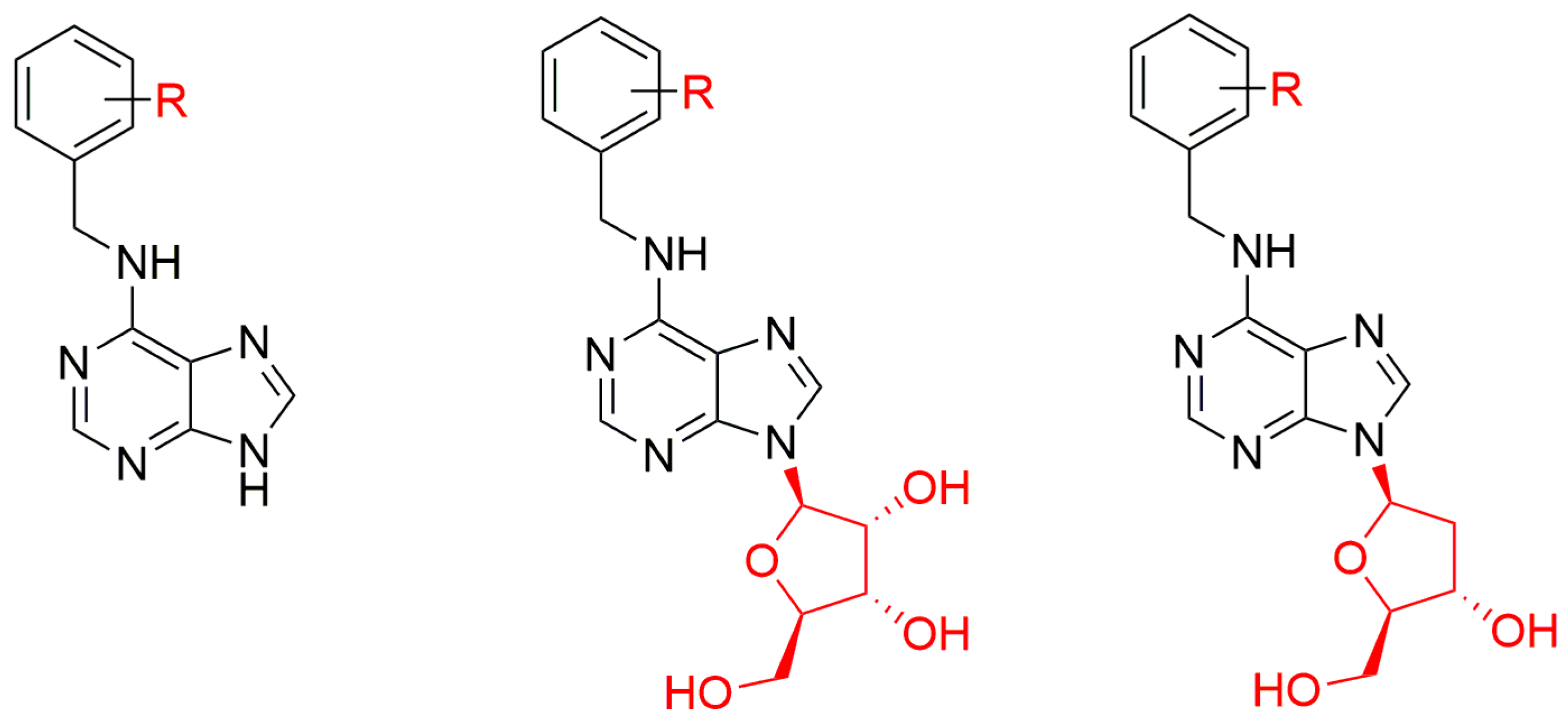 Biomolecules 10 00832 g007