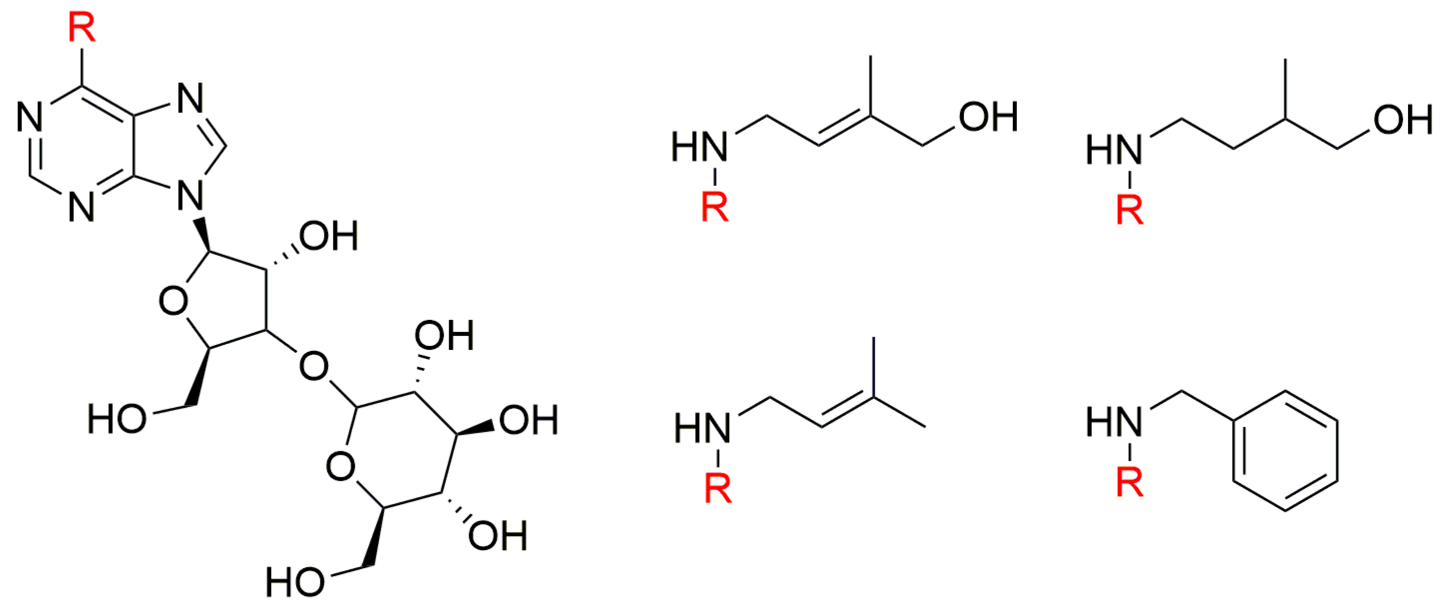 Biomolecules 10 00832 g008