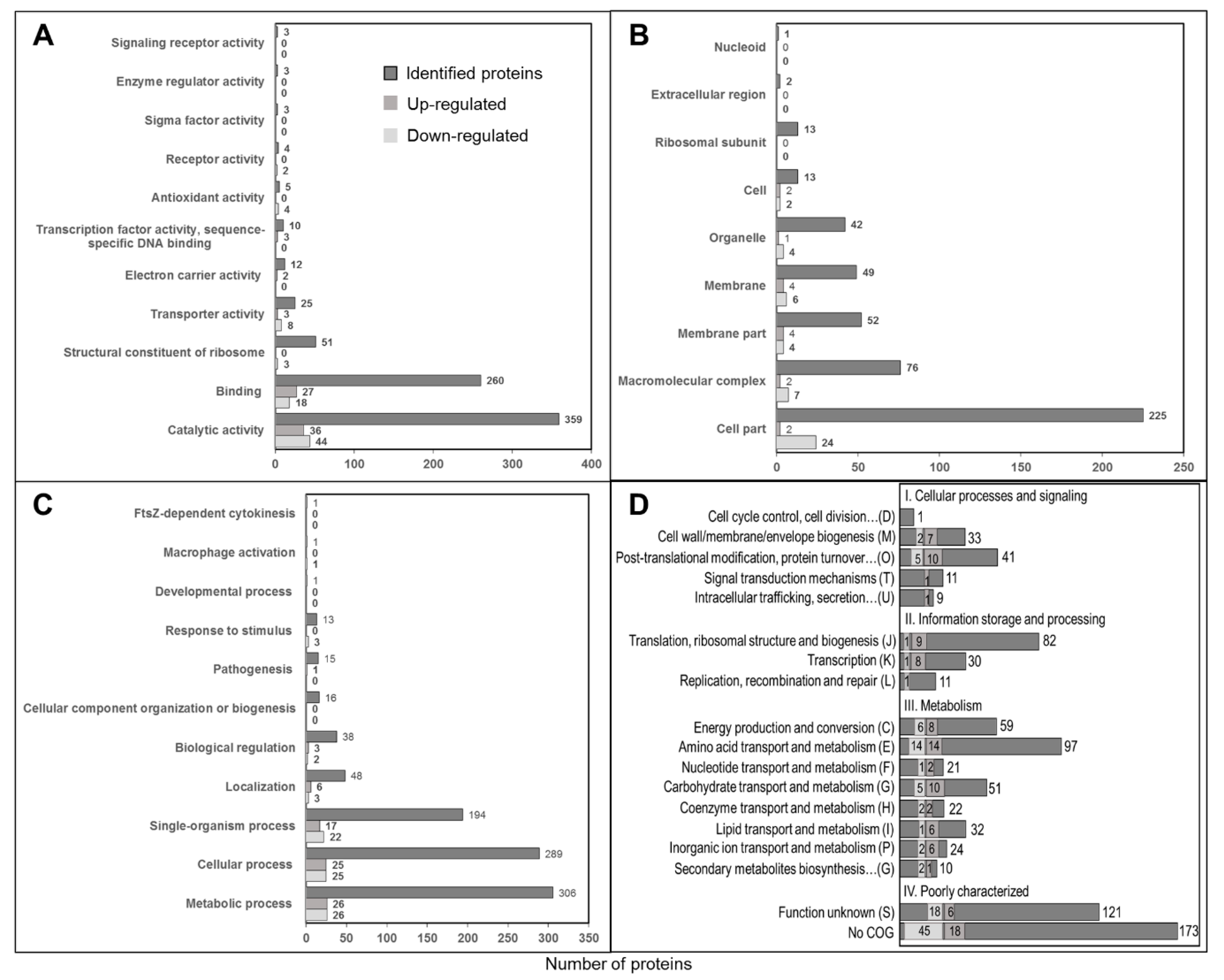 Biomolecules 10 00836 g004 Biomolecules 10 00836 g004