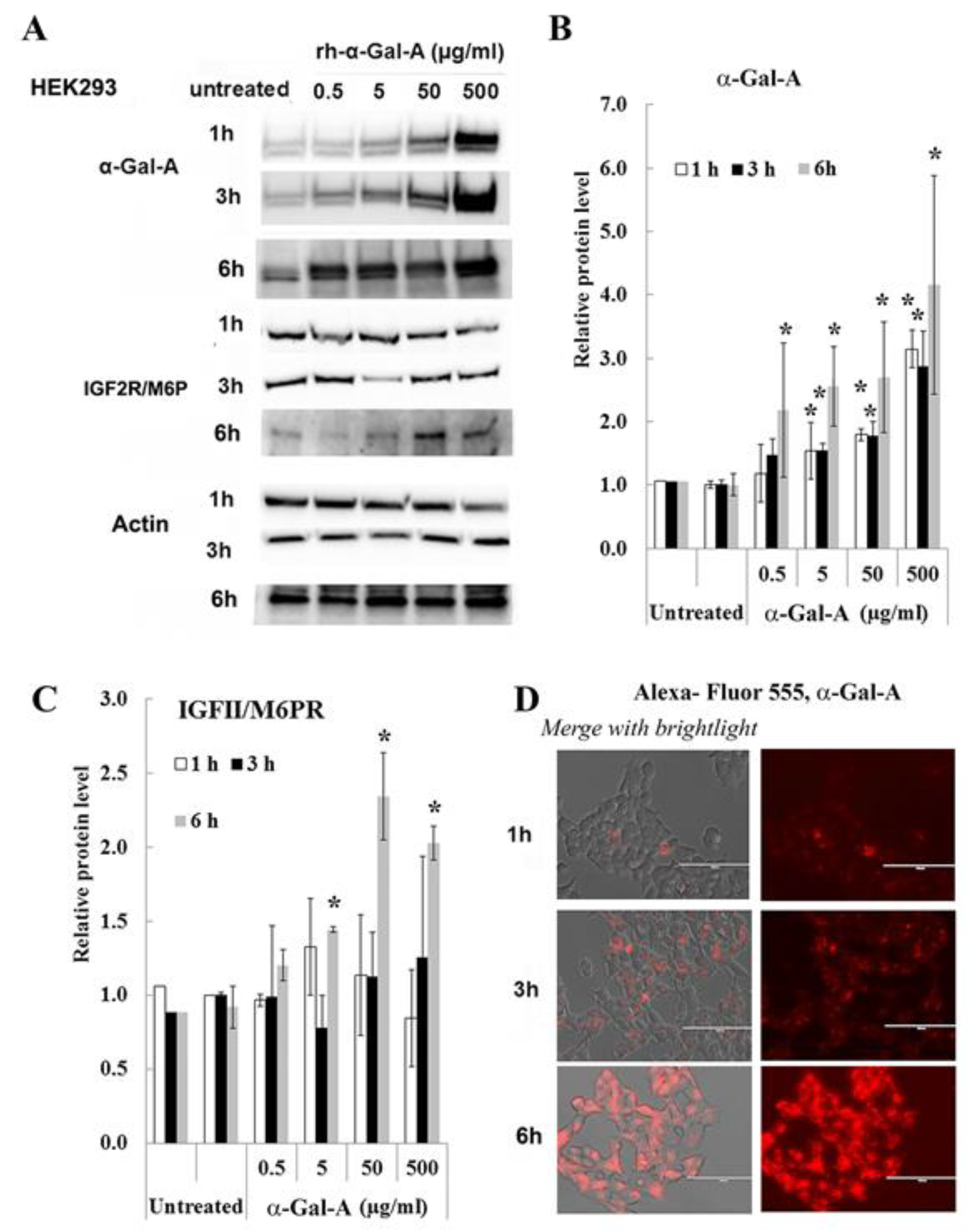 Biomolecules 10 00837 g003 Biomolecules 10 00837 g003