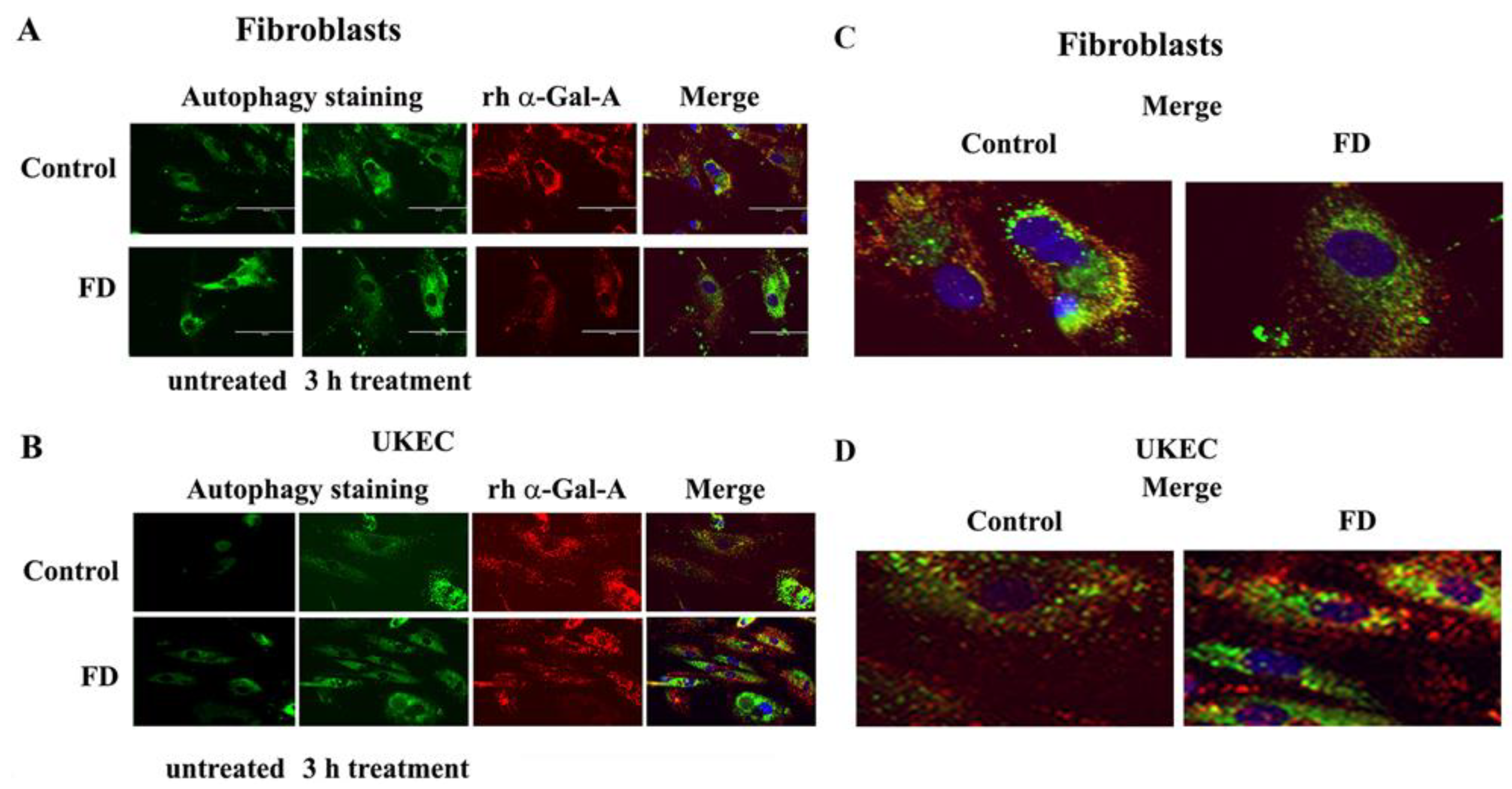 Biomolecules 10 00837 g007 Biomolecules 10 00837 g007