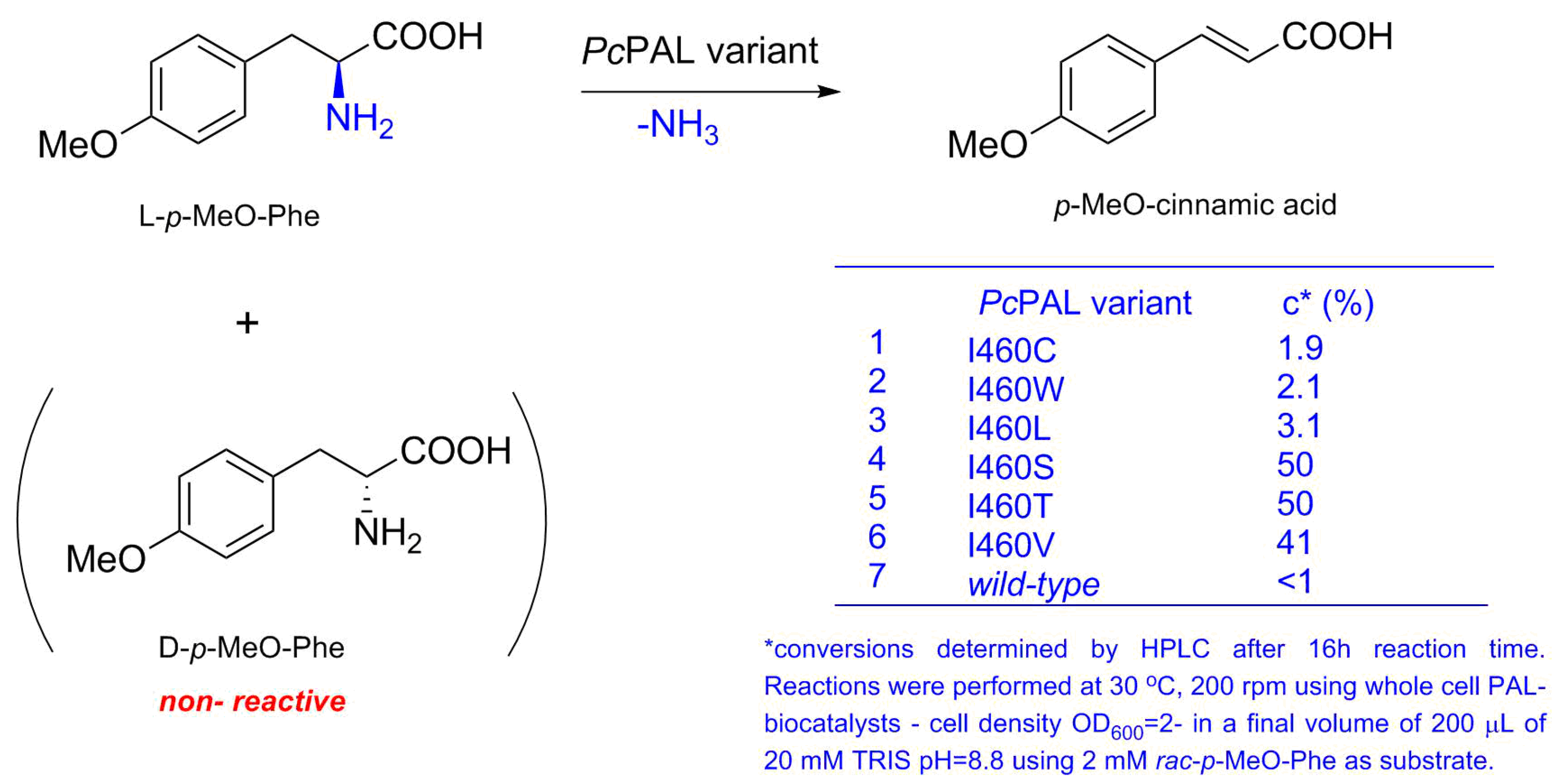 Biomolecules 10 00838 g004