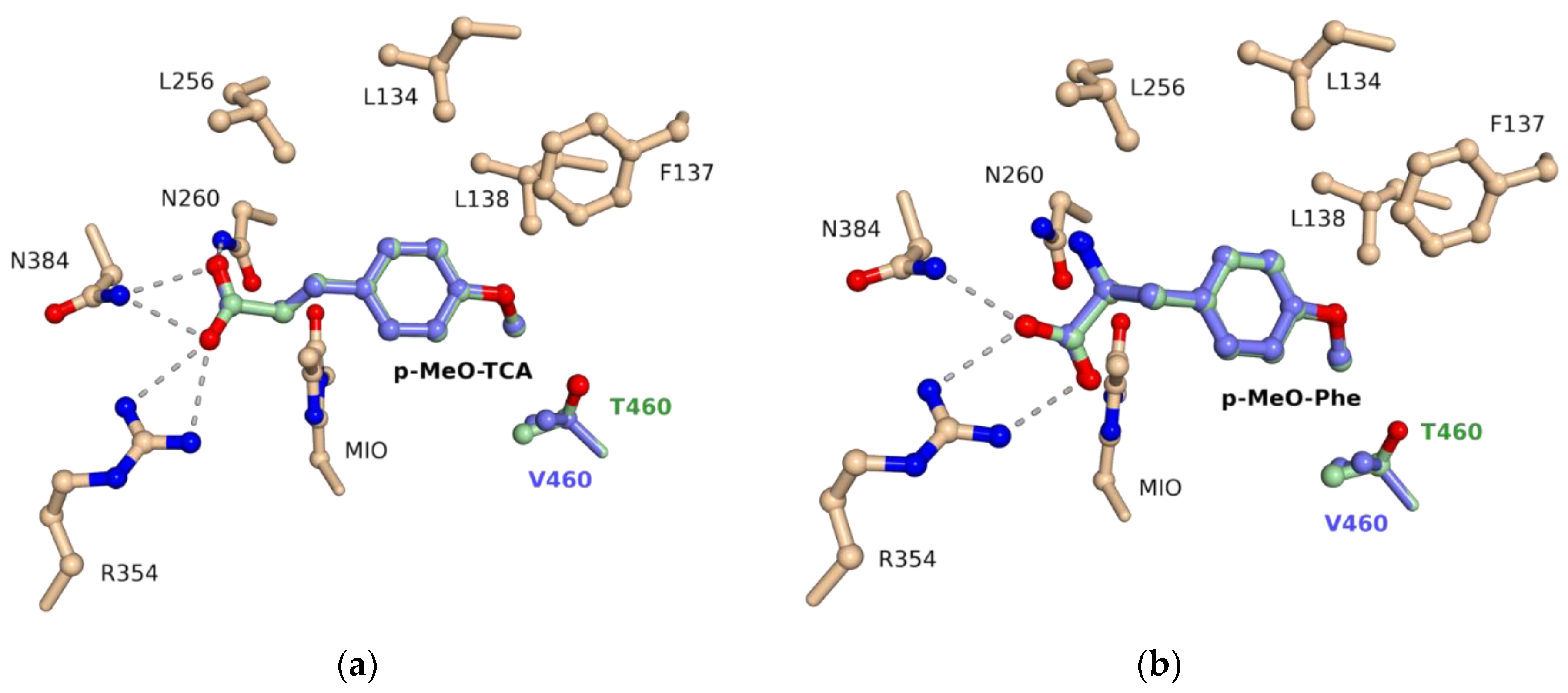 Biomolecules 10 00838 g006