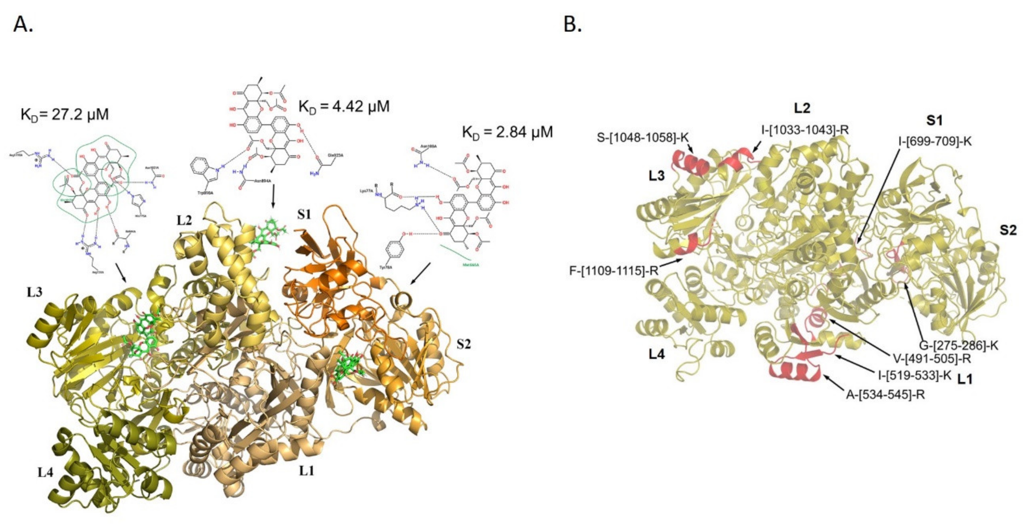 Biomolecules 10 00846 g003