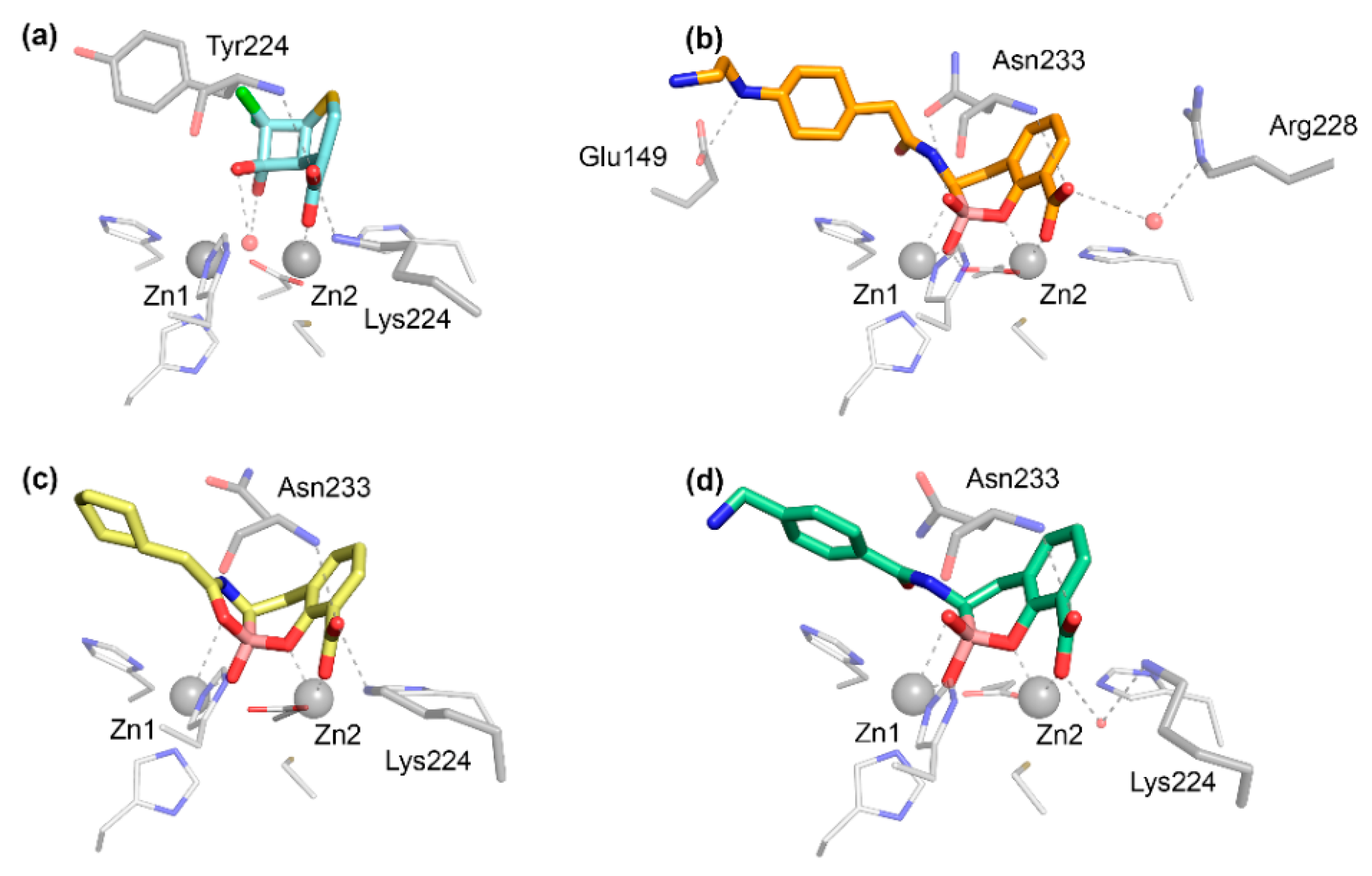 Biomolecules 10 00854 g007 Biomolecules 10 00854 g007