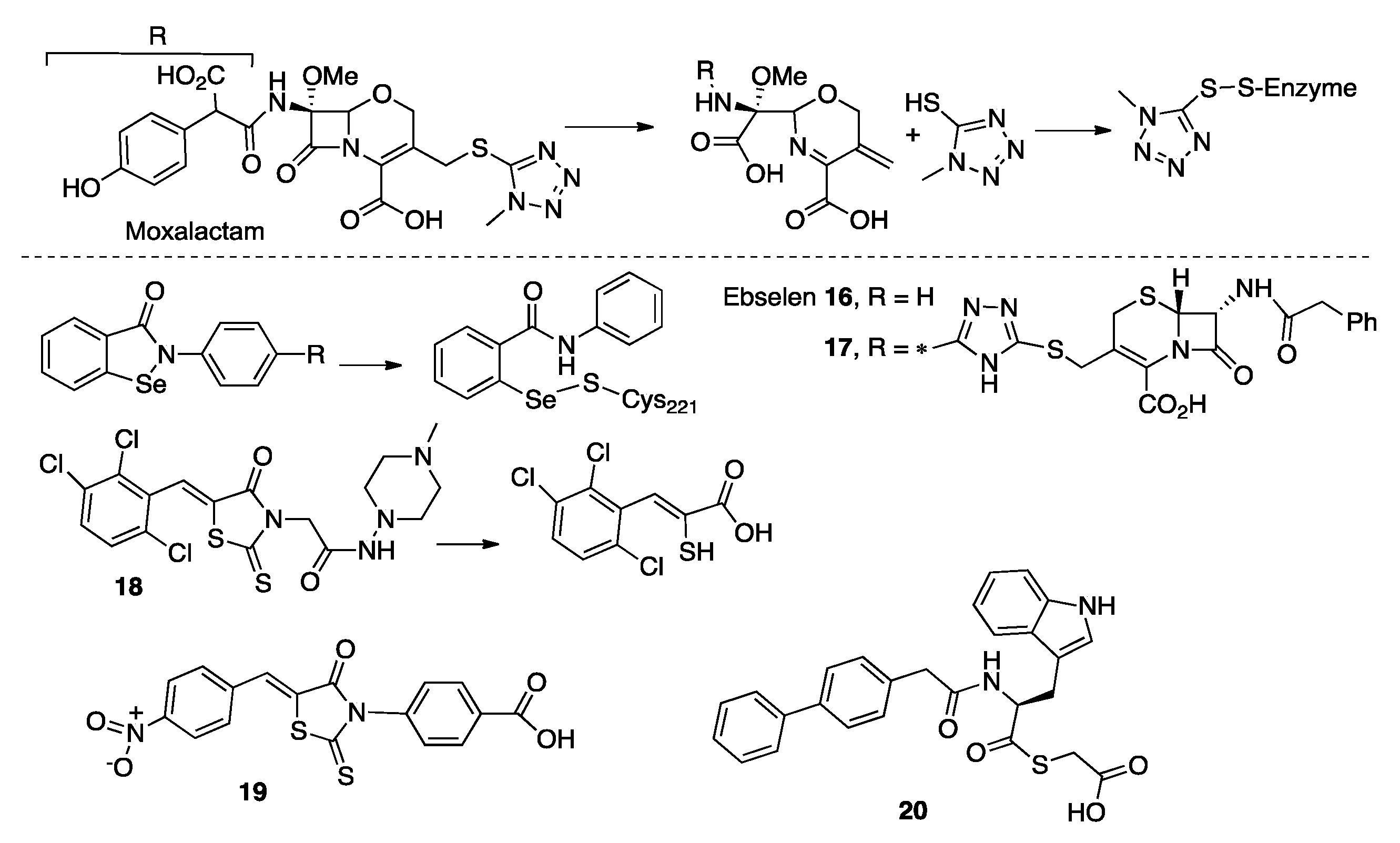 Biomolecules 10 00854 g008 Biomolecules 10 00854 g008