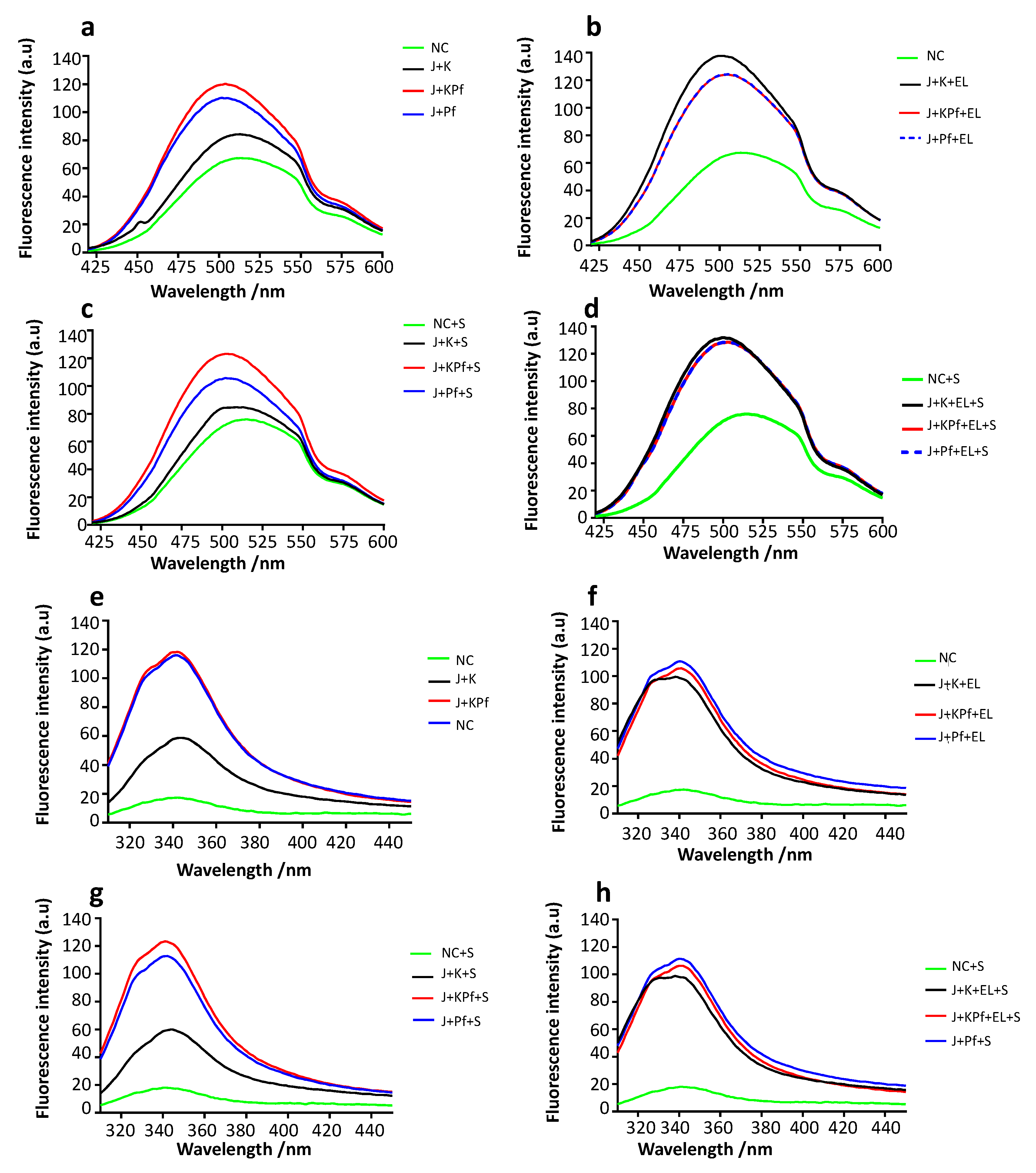Biomolecules 10 00856 g004