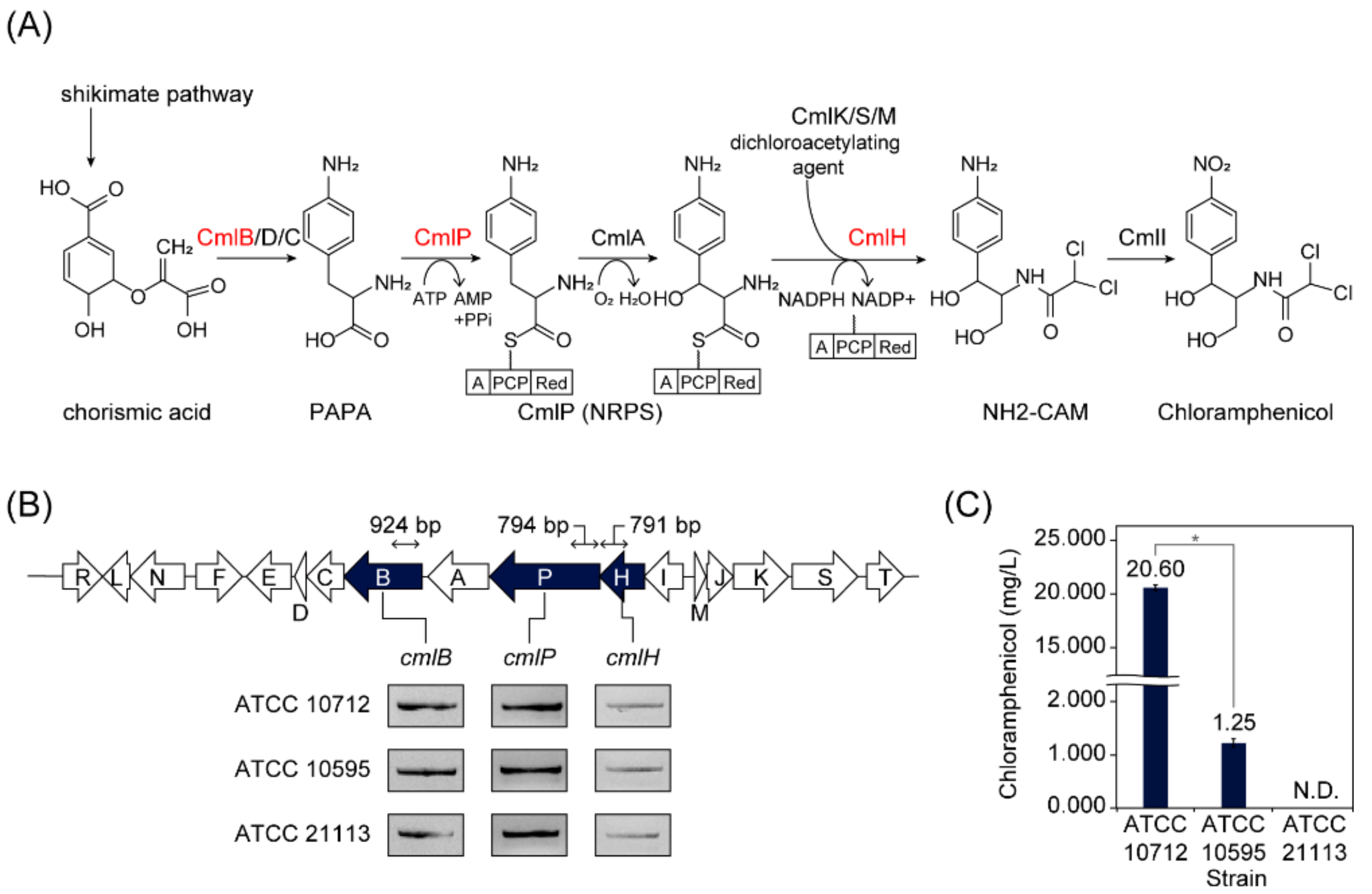 Biomolecules 10 00864 g001 Biomolecules 10 00864 g001