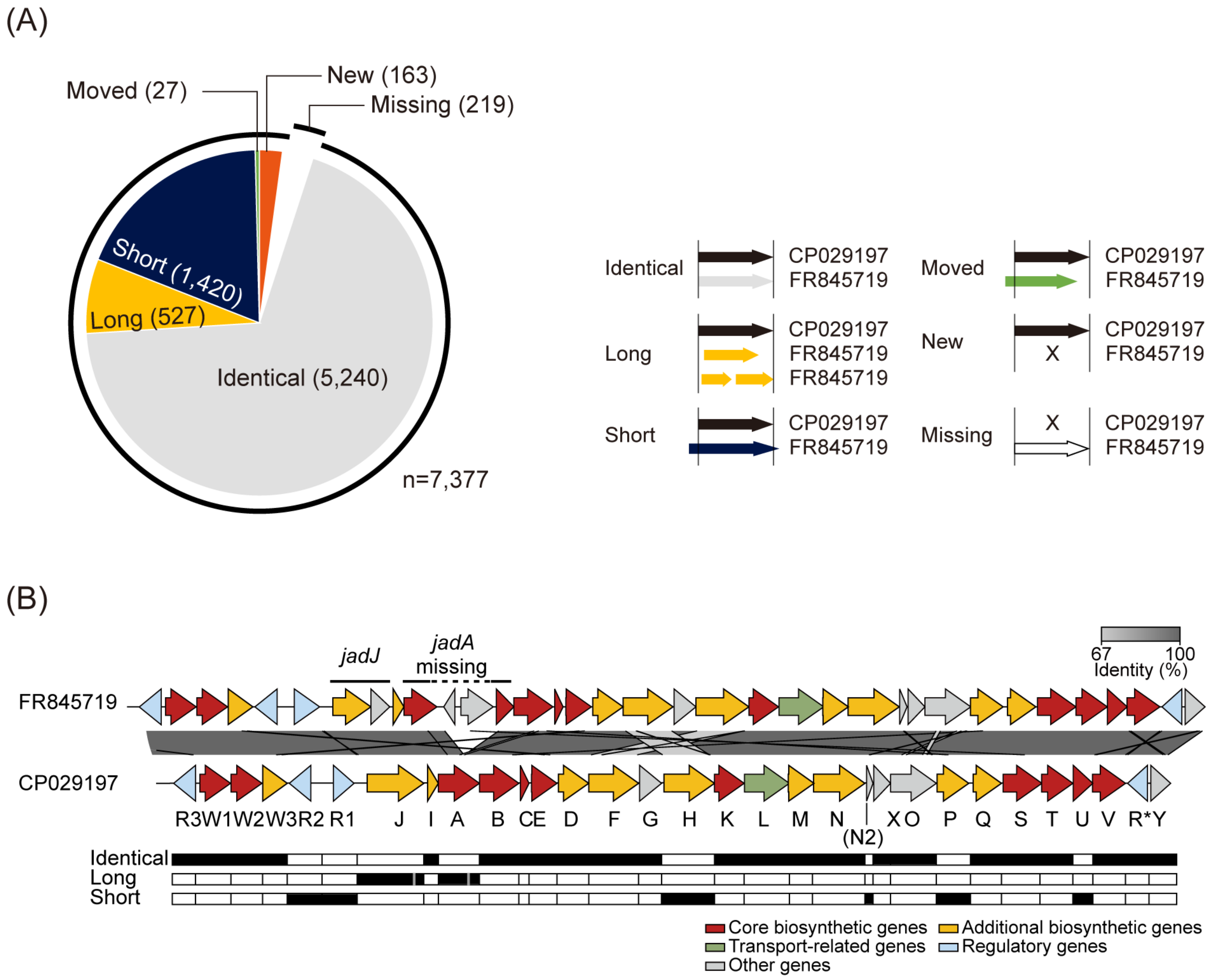 Biomolecules 10 00864 g002 Biomolecules 10 00864 g002