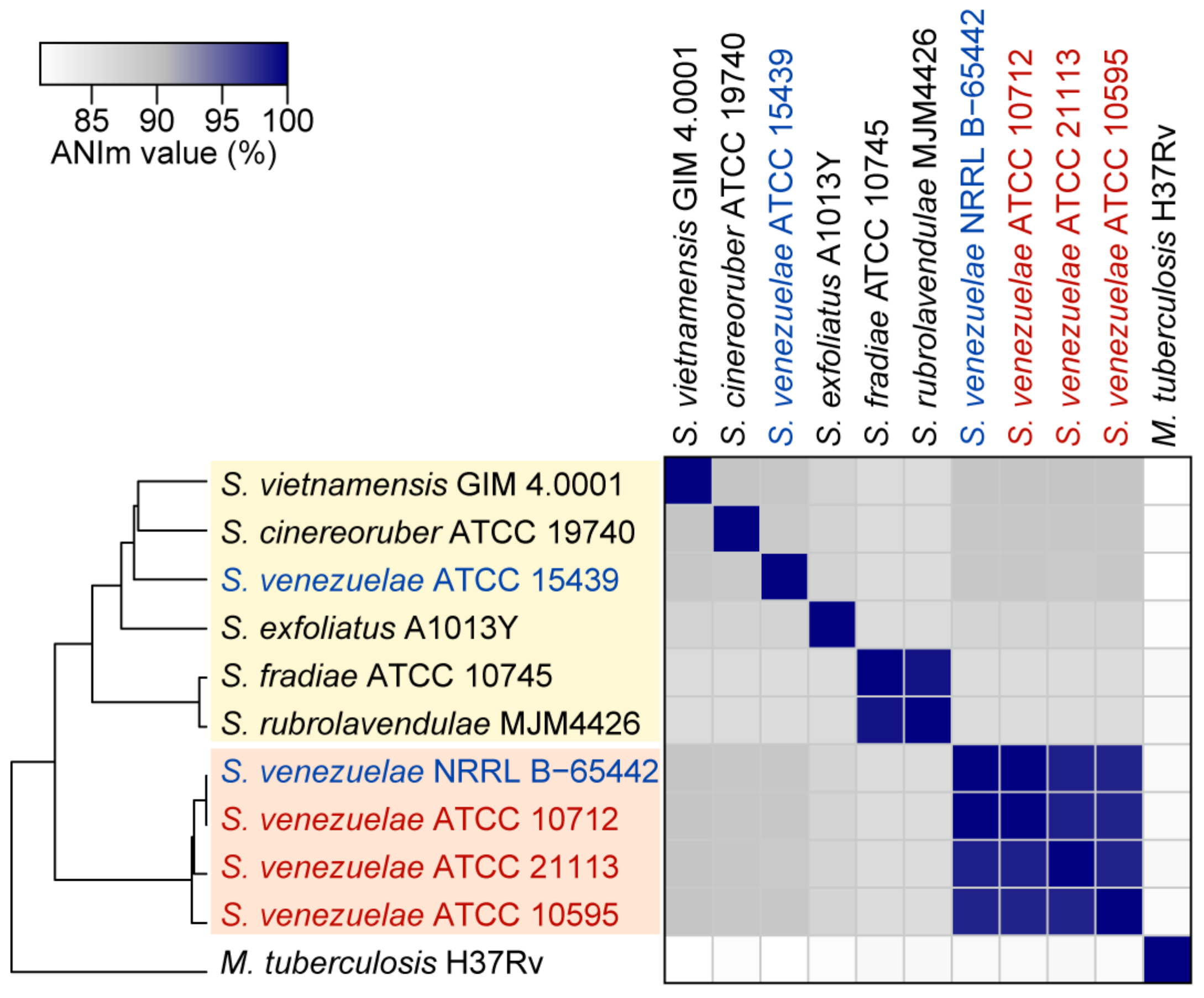 Biomolecules 10 00864 g003 Biomolecules 10 00864 g003