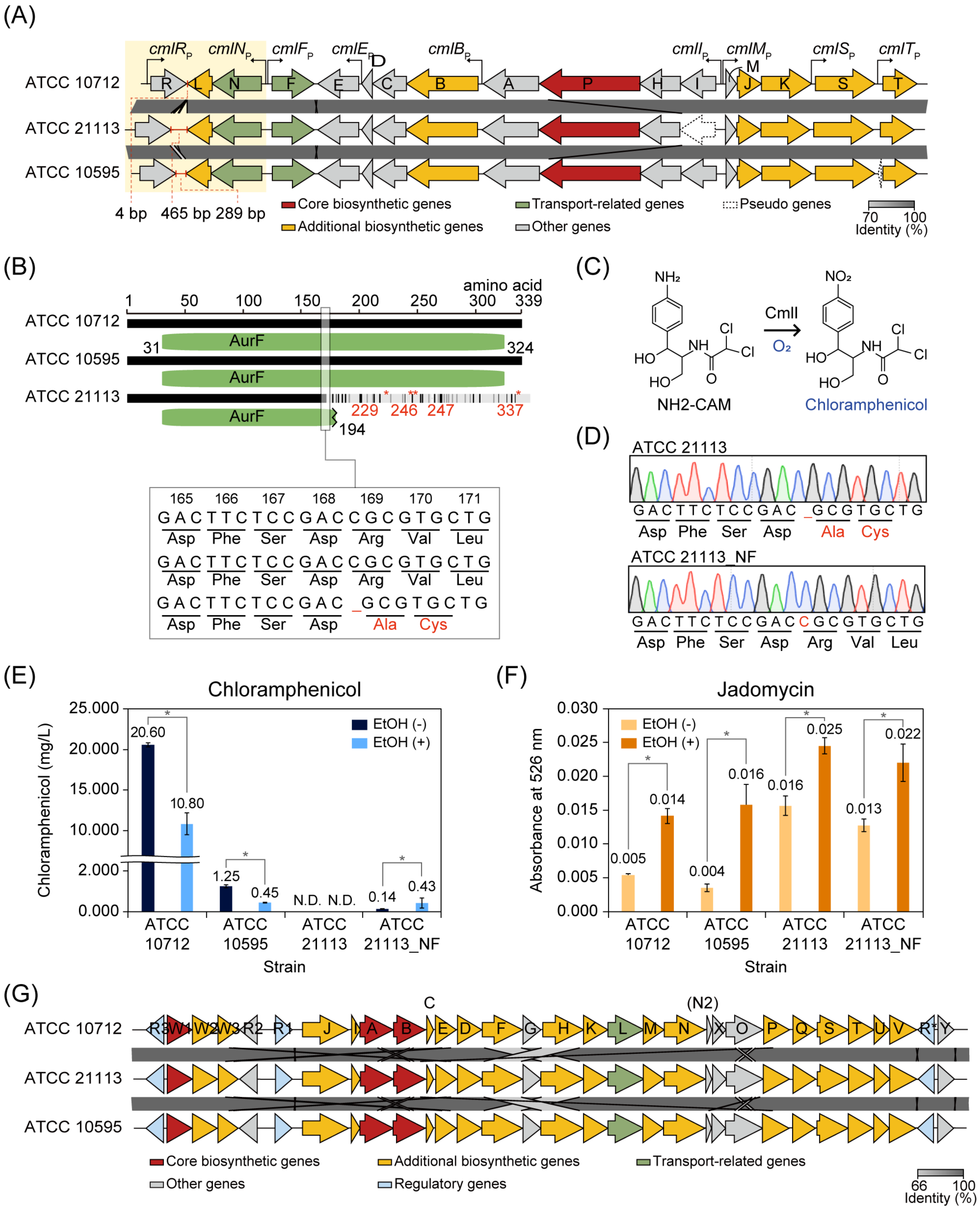 Biomolecules 10 00864 g005 Biomolecules 10 00864 g005