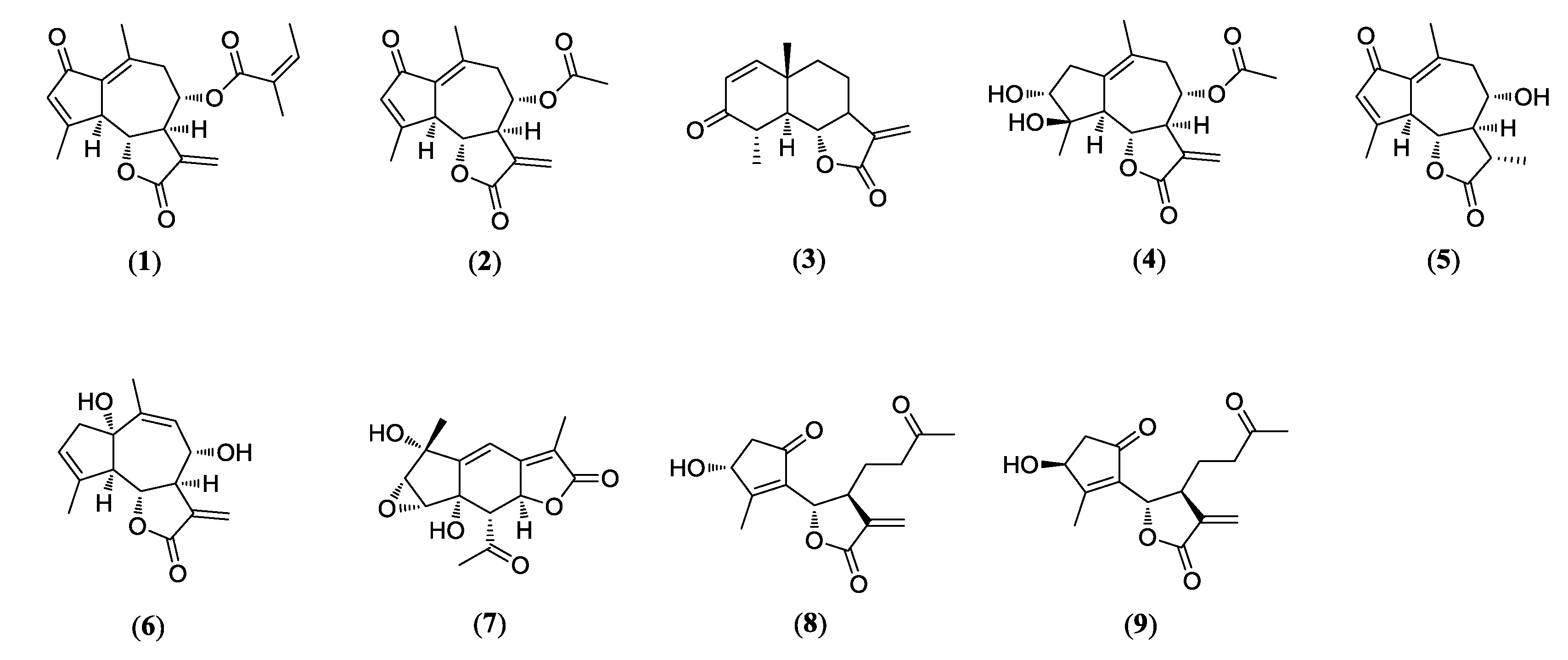 Biomolecules 10 00867 g001