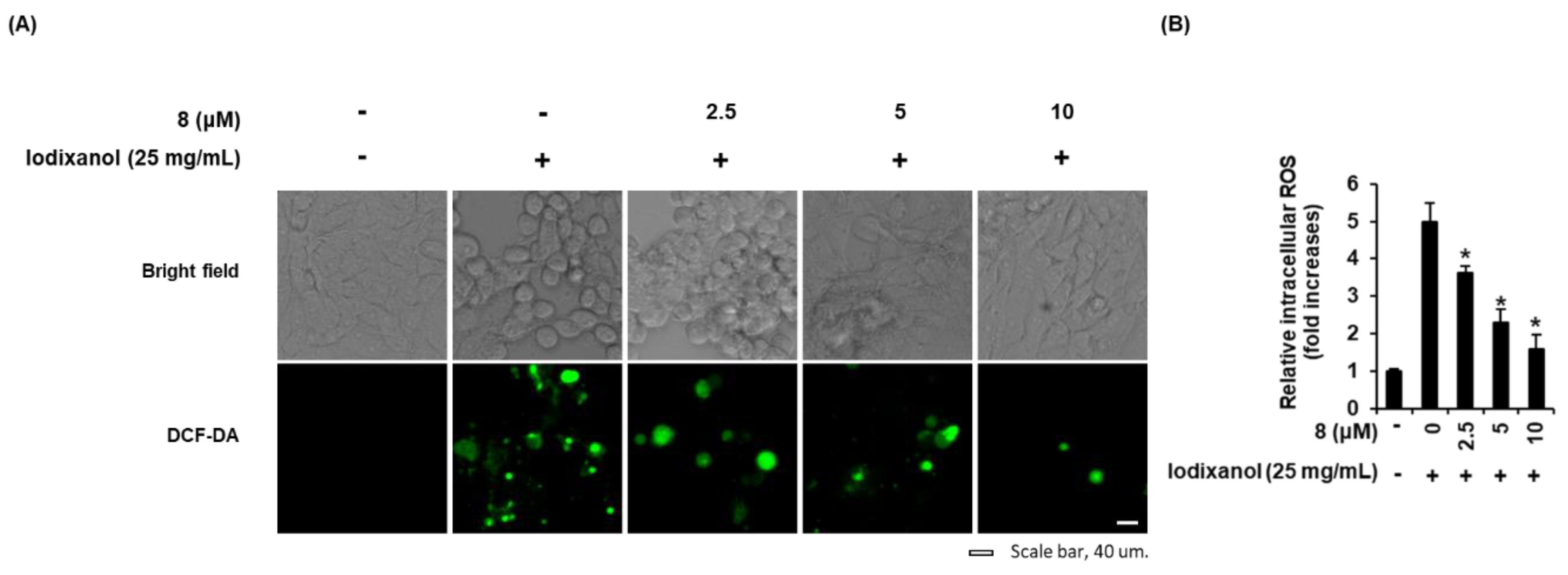Biomolecules 10 00867 g004