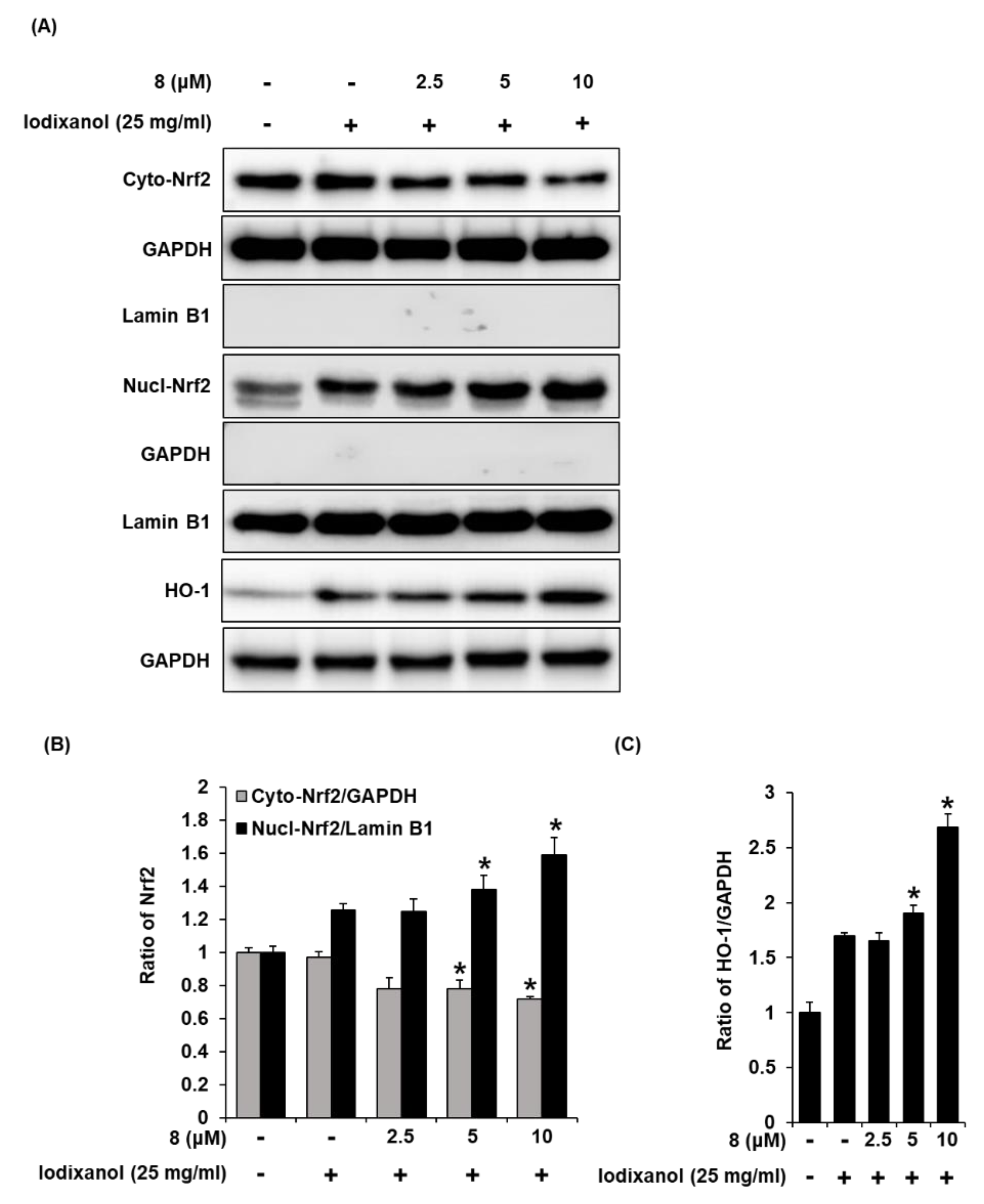 Biomolecules 10 00867 g005