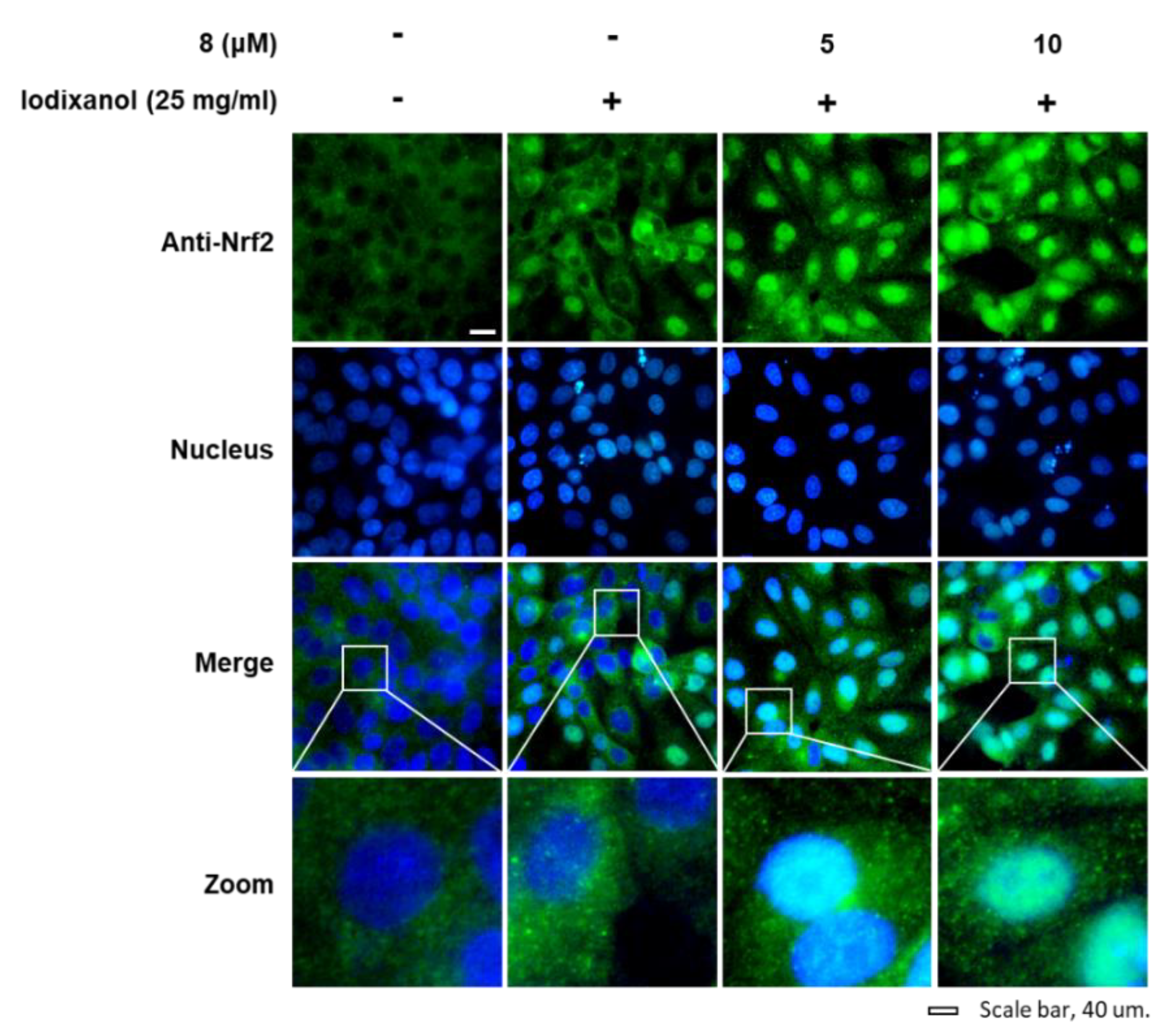Biomolecules 10 00867 g006