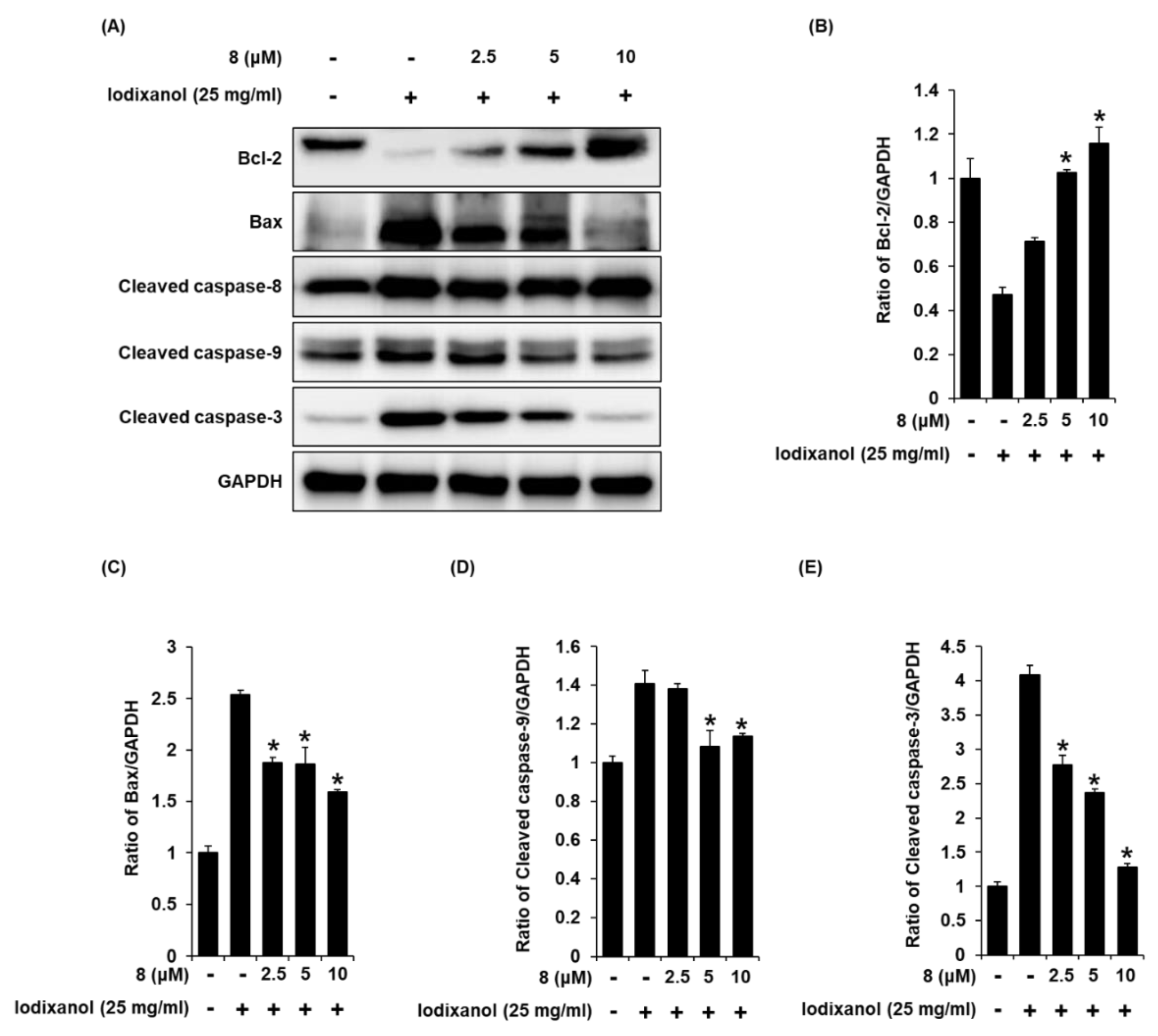 Biomolecules 10 00867 g008