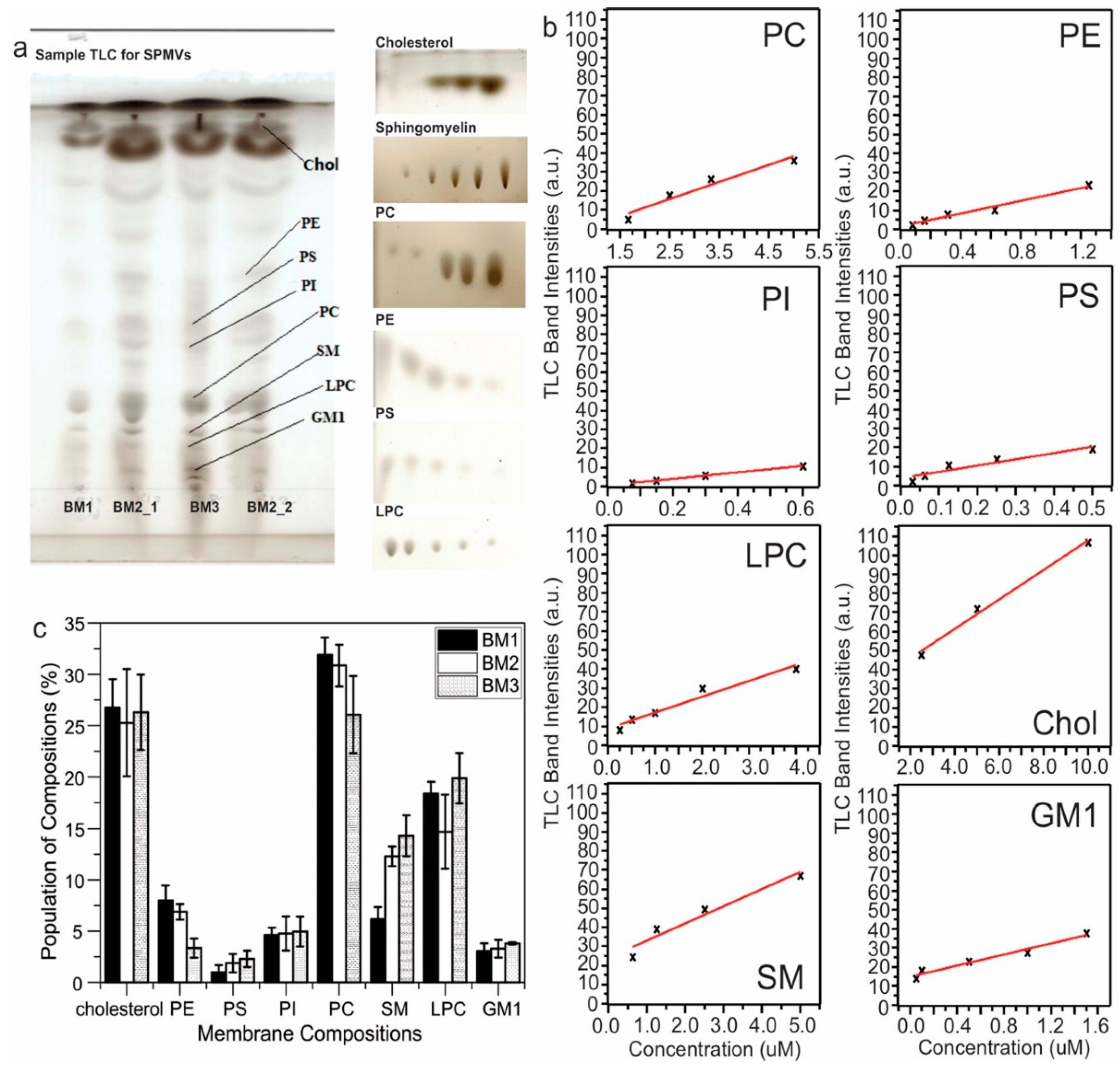 Biomolecules 10 00881 g001