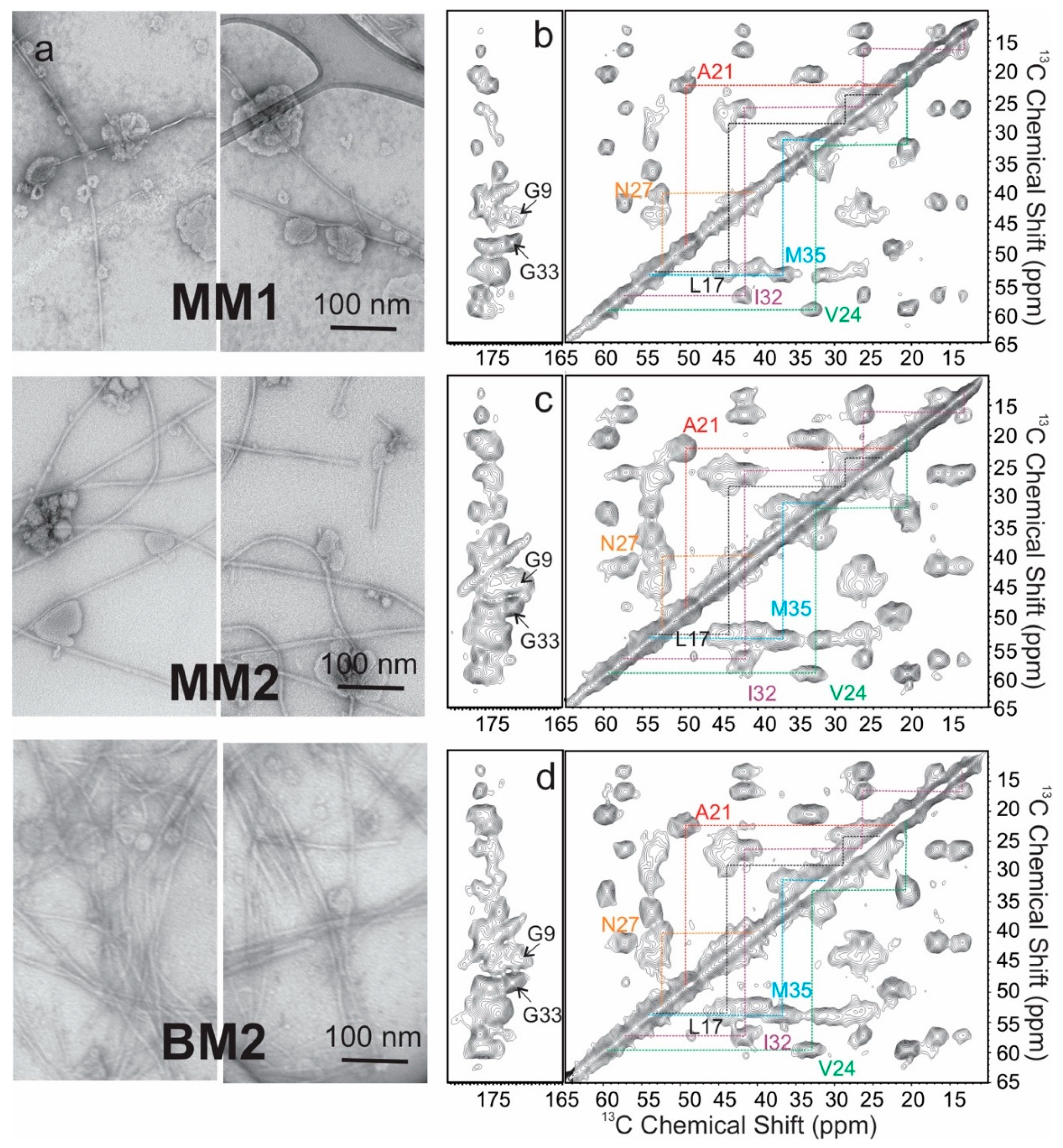 Biomolecules 10 00881 g004