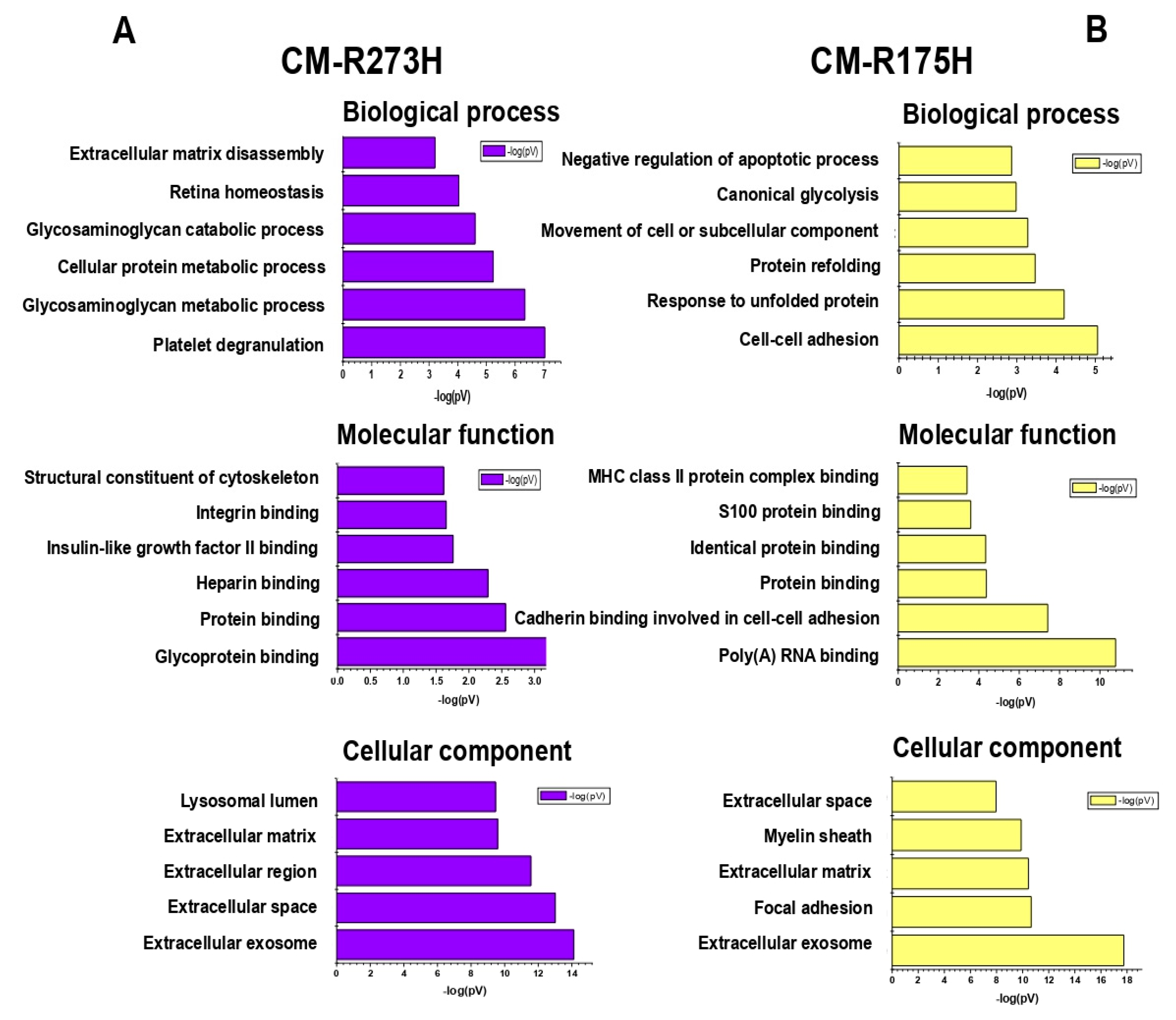 Biomolecules 10 00884 g004 Biomolecules 10 00884 g004