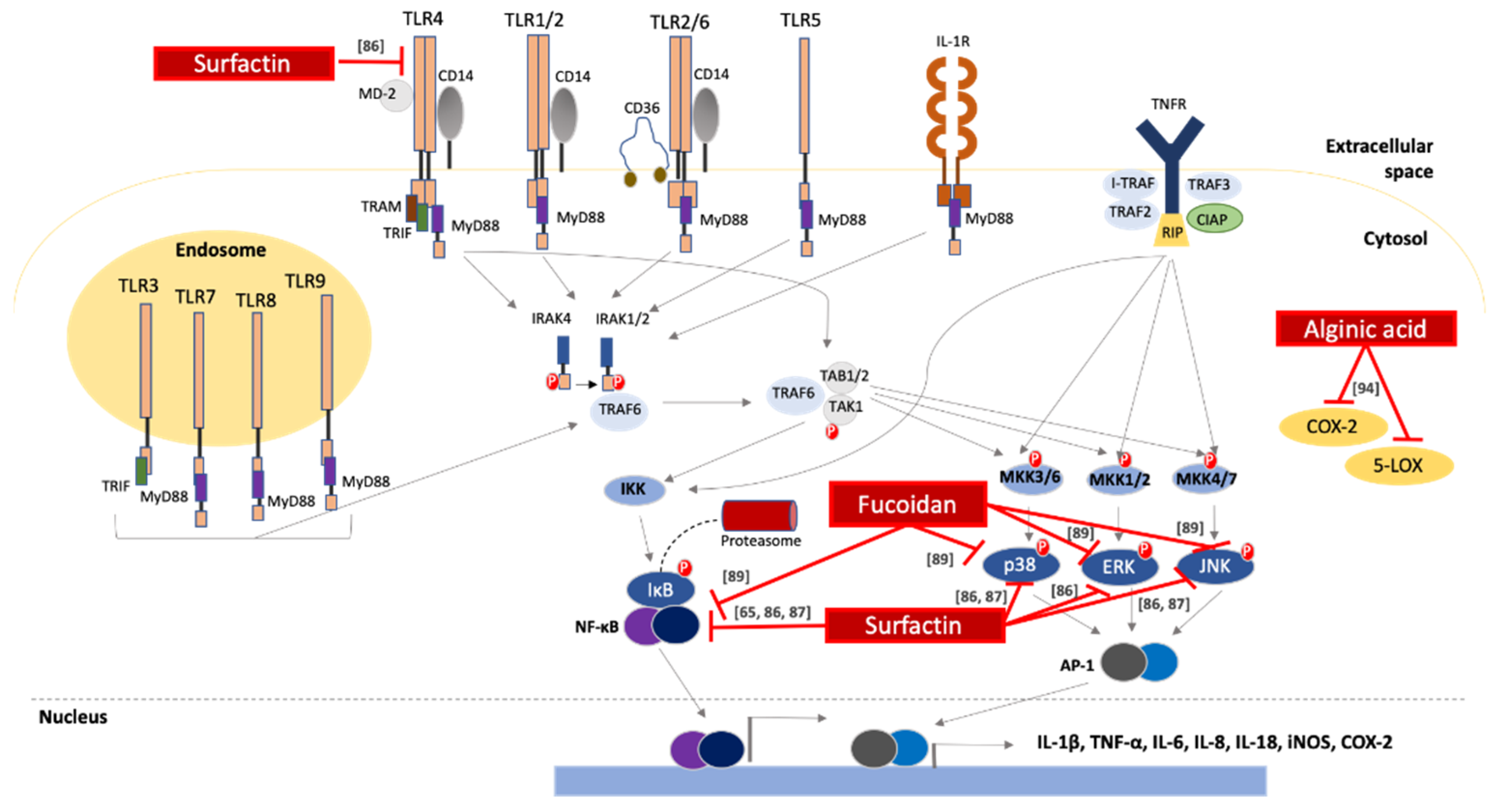 Biomolecules 10 00885 g001 Biomolecules 10 00885 g001