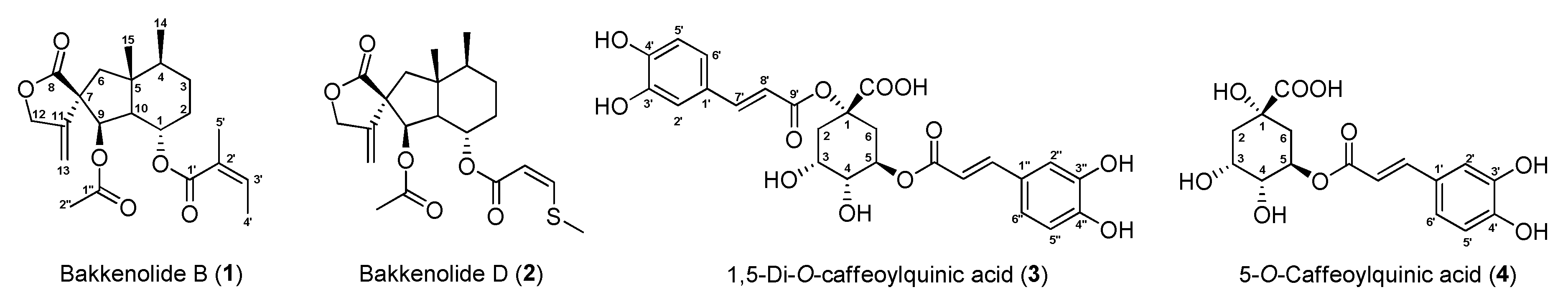 Biomolecules 10 00888 g001
