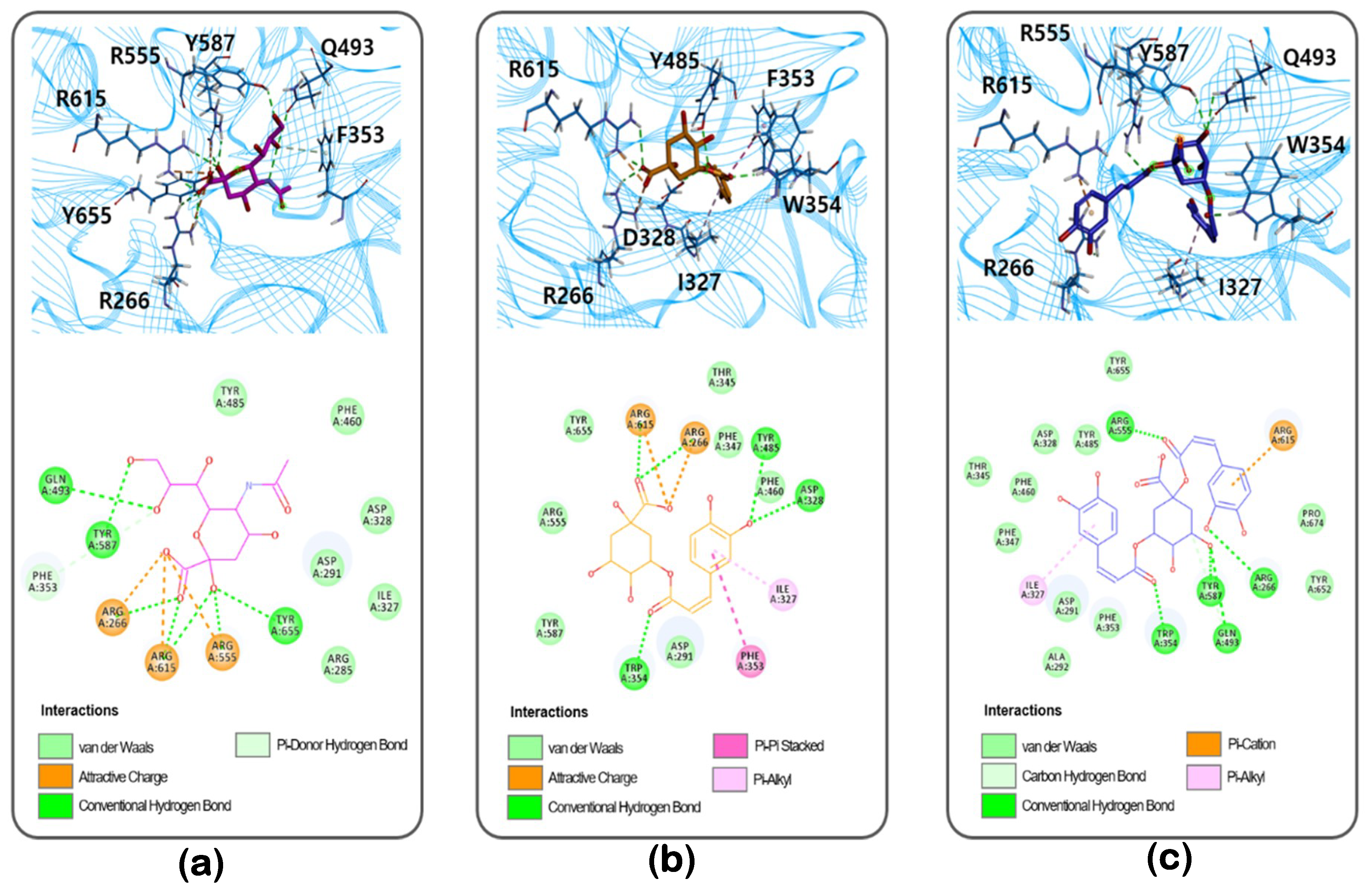 Biomolecules 10 00888 g004
