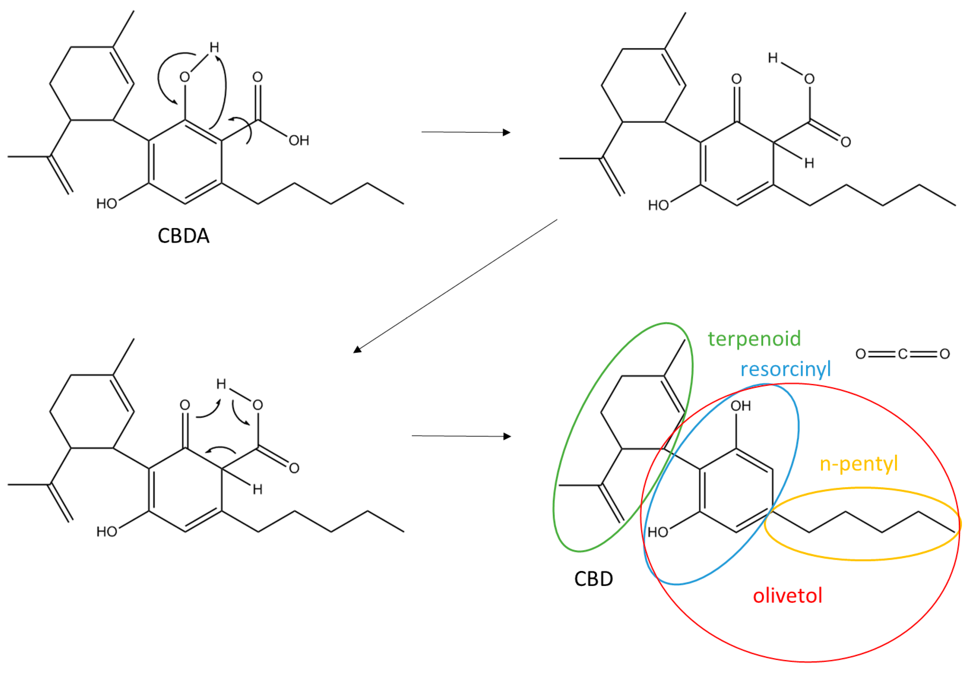 Biomolecules 10 00900 g001