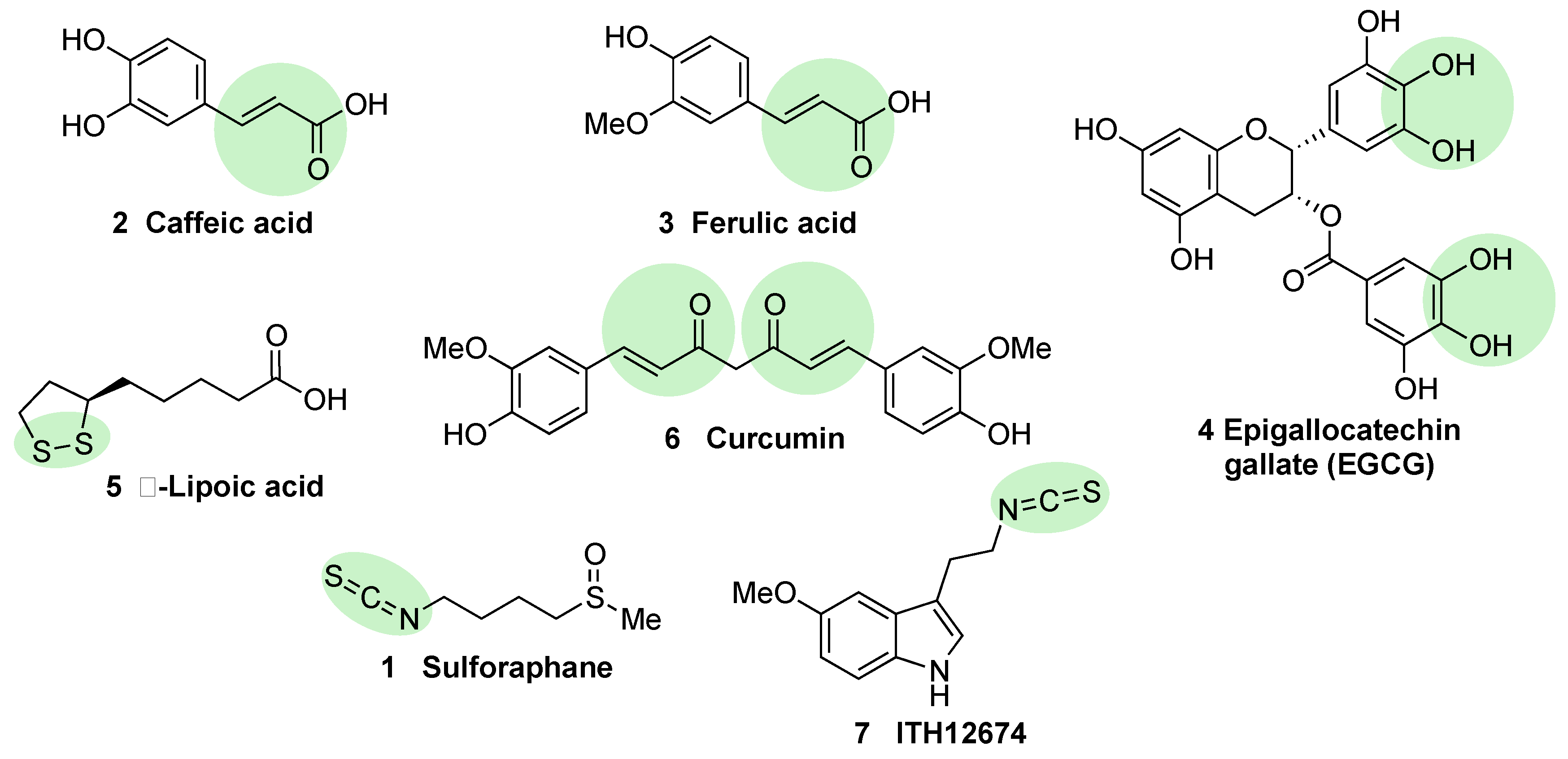 Biomolecules 10 00904 g007