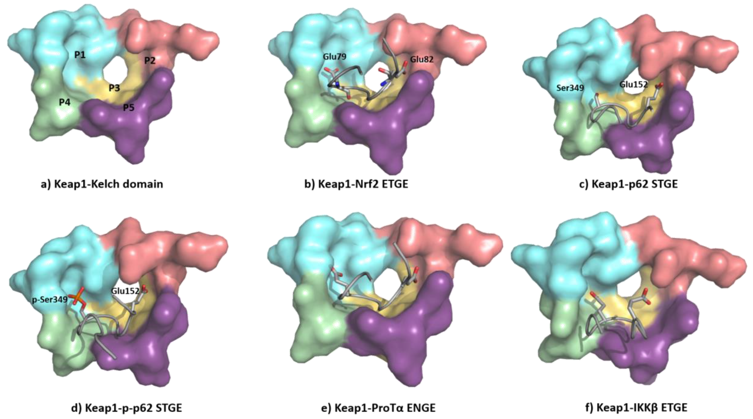 Biomolecules 10 00904 g011