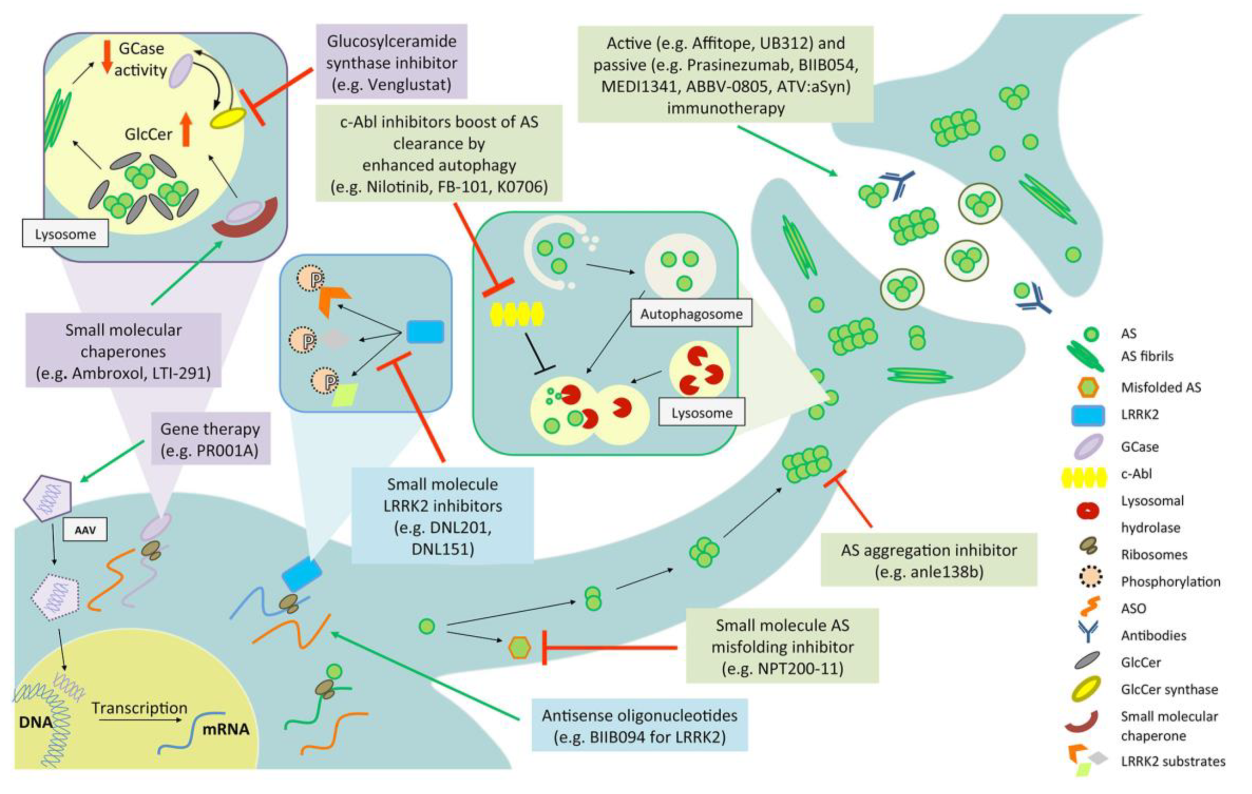 Biomolecules 10 00912 g002