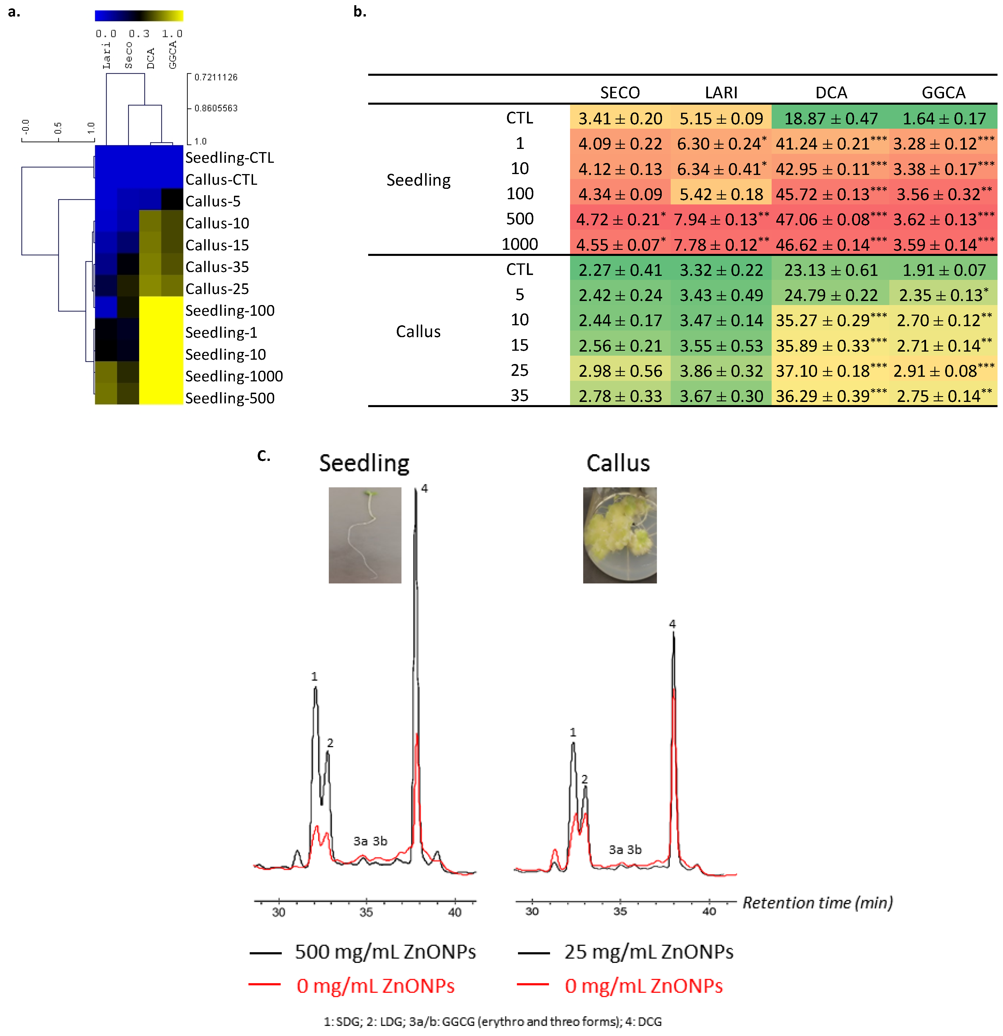 Biomolecules 10 00918 g005 Biomolecules 10 00918 g005