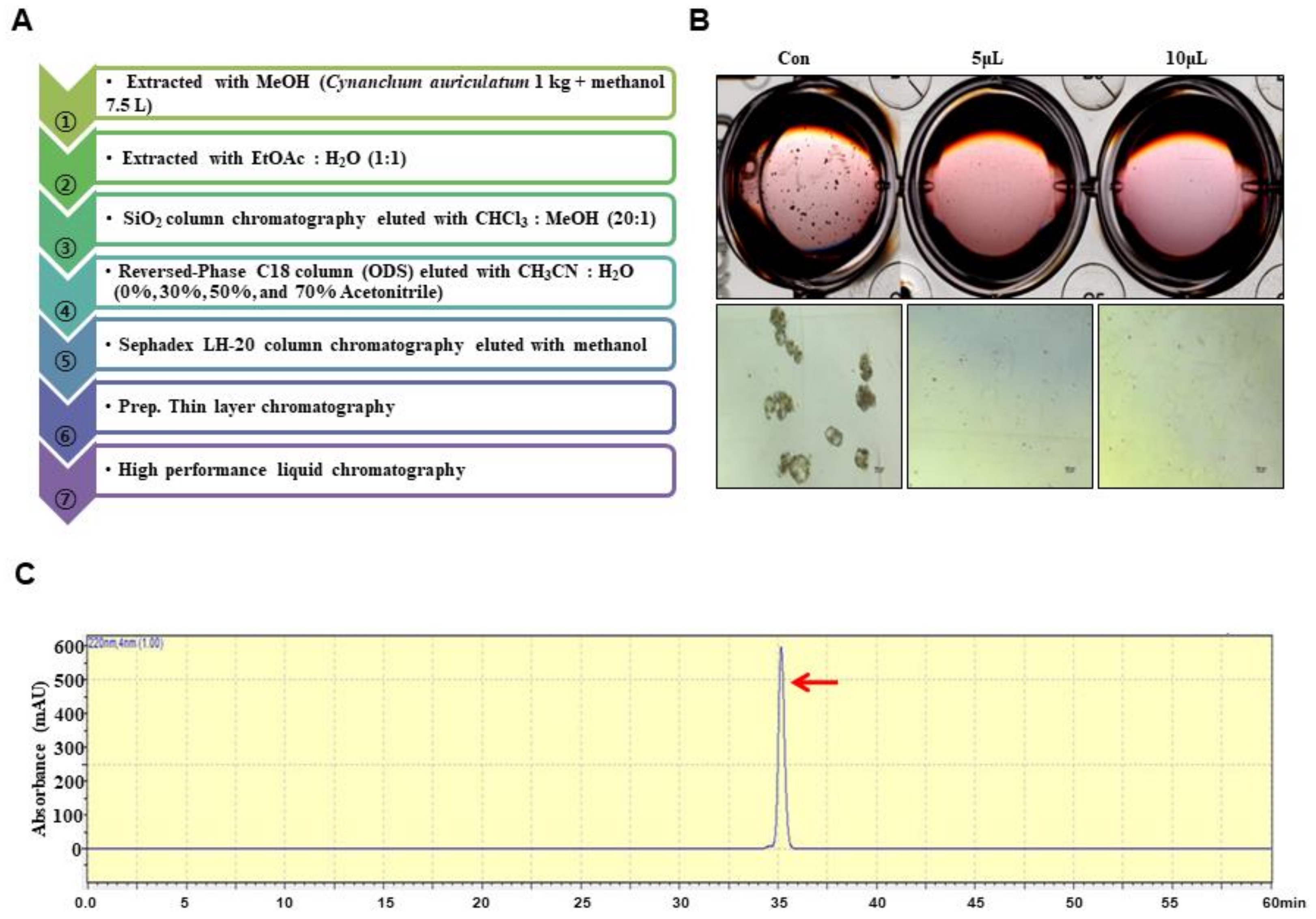 Biomolecules 10 00925 g001 Biomolecules 10 00925 g001